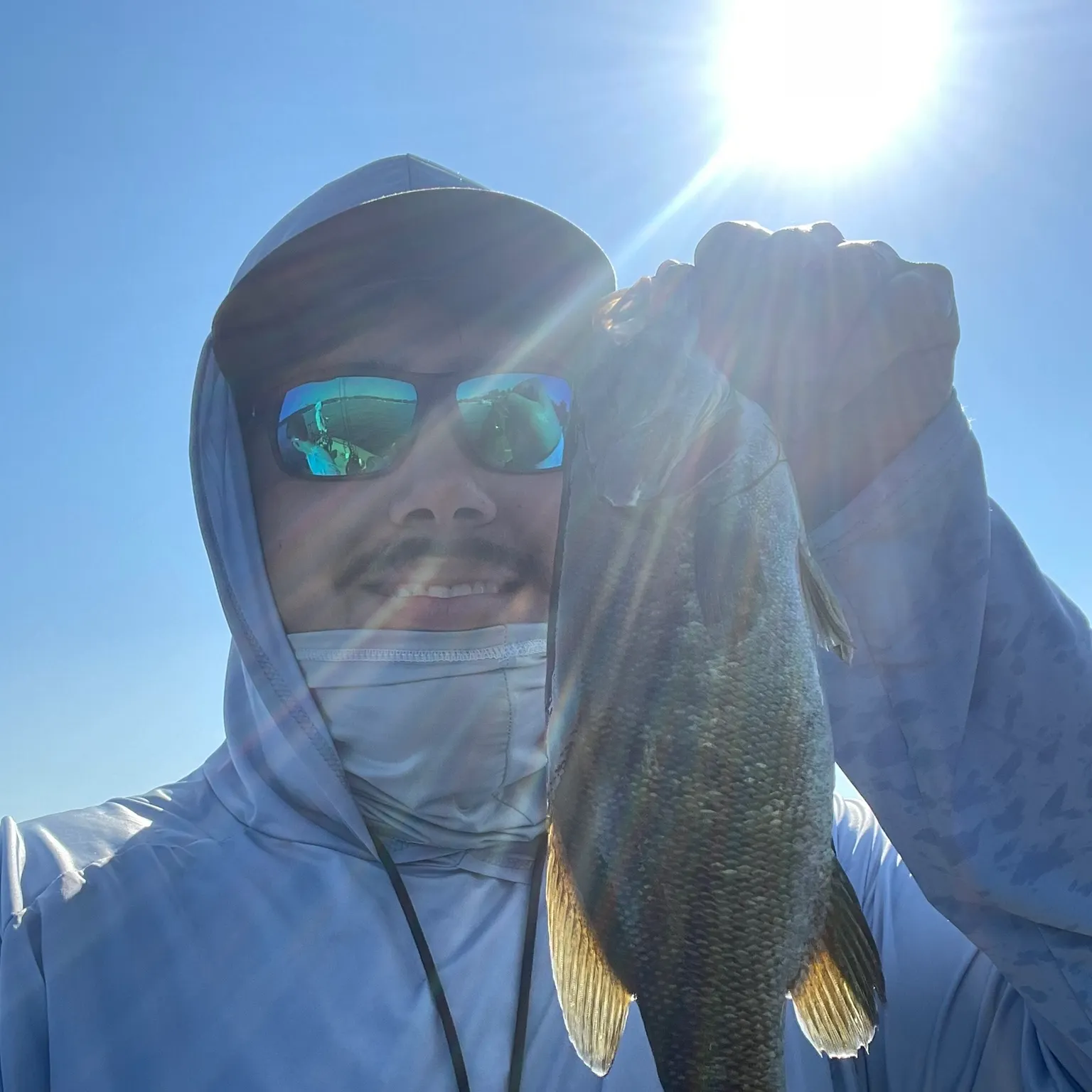 The most recent Smallmouth bass catches on Fishbrain