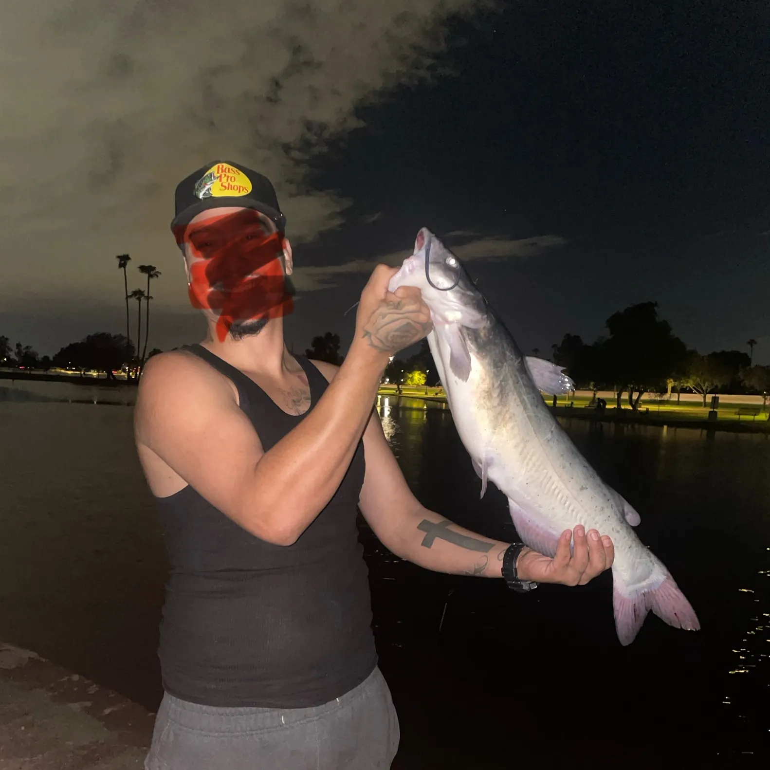 Channel catfish caught on Fishbrain