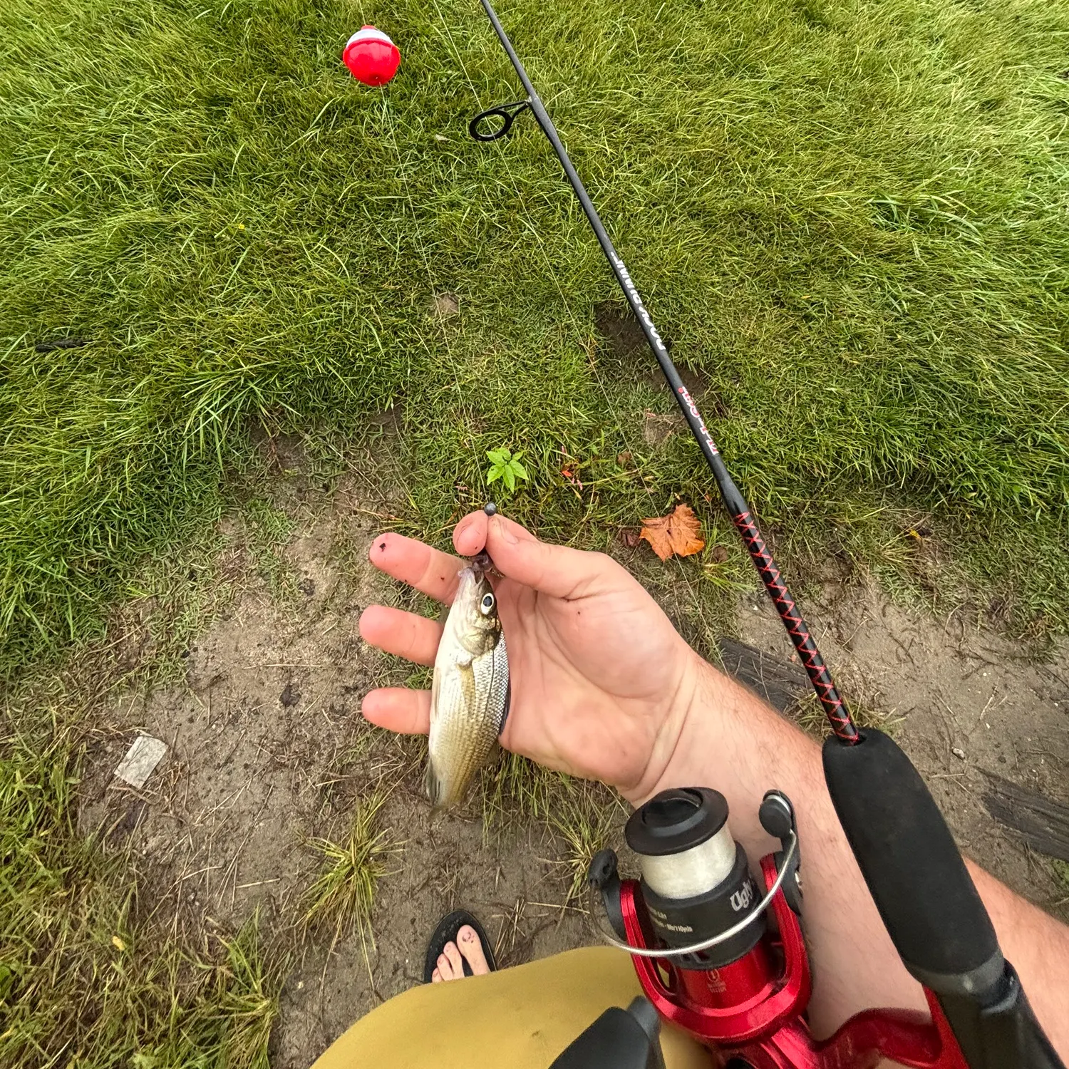 catch