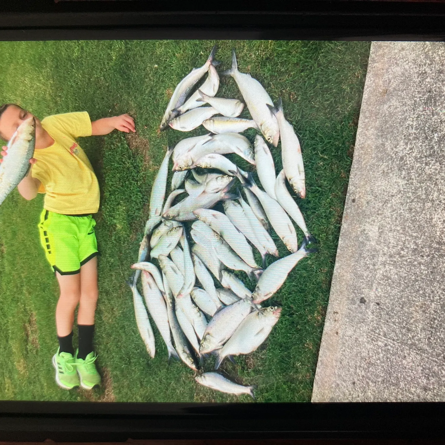 most liked catch image