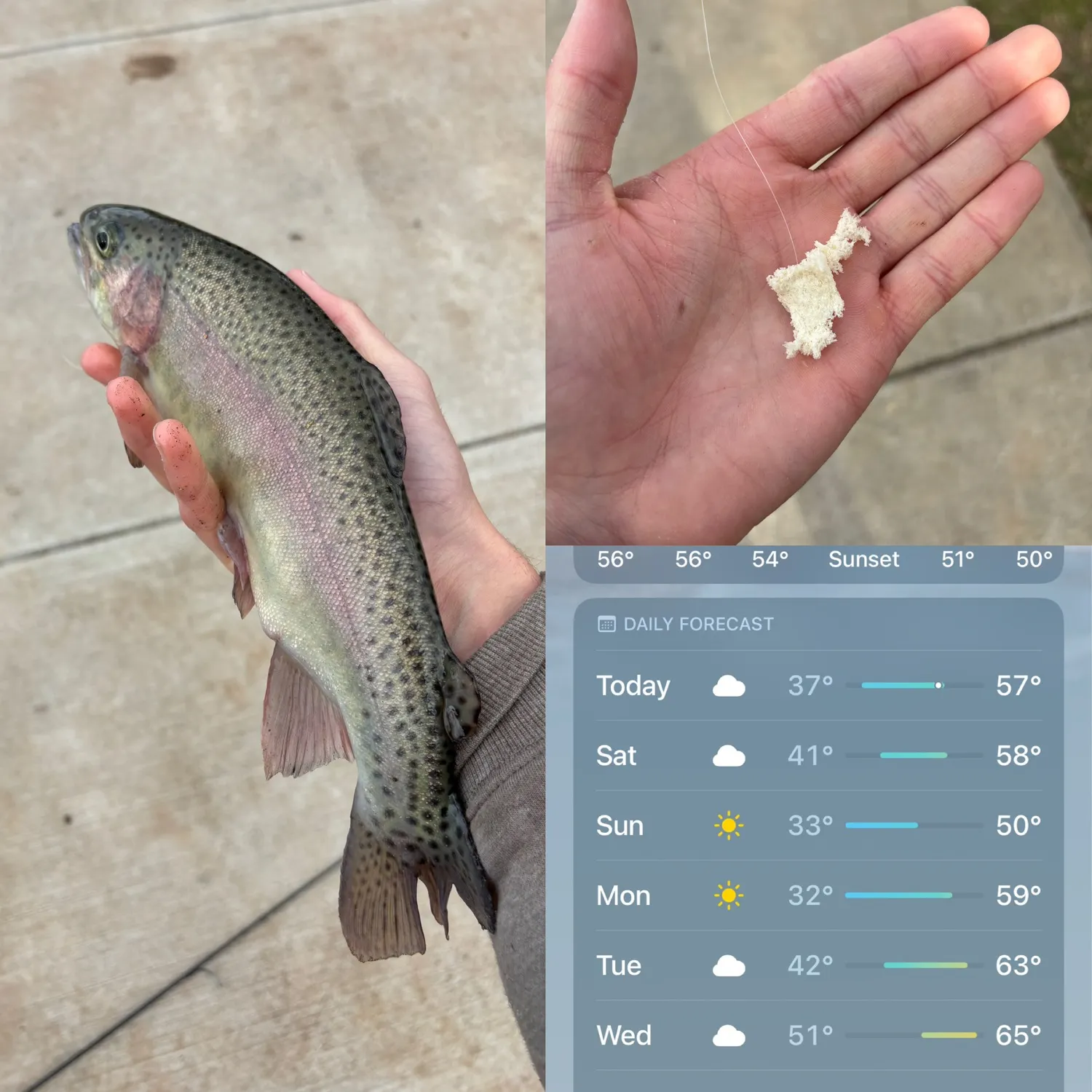 recently logged catches