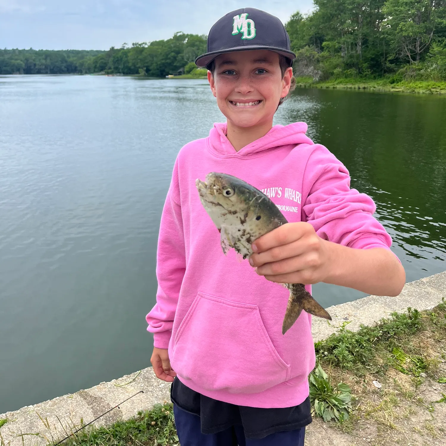 The most recent Silver porgy catches on Fishbrain
