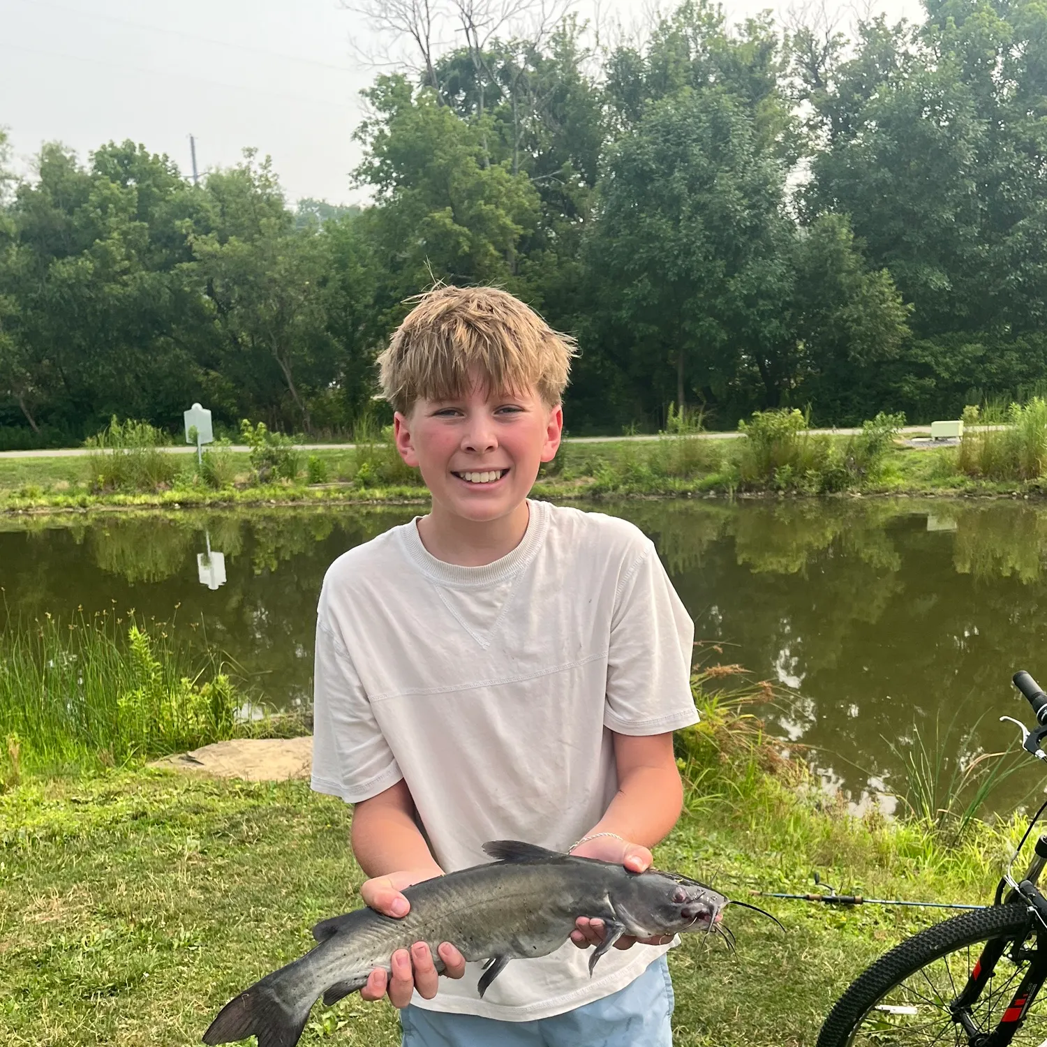 Channel catfish caught on Fishbrain