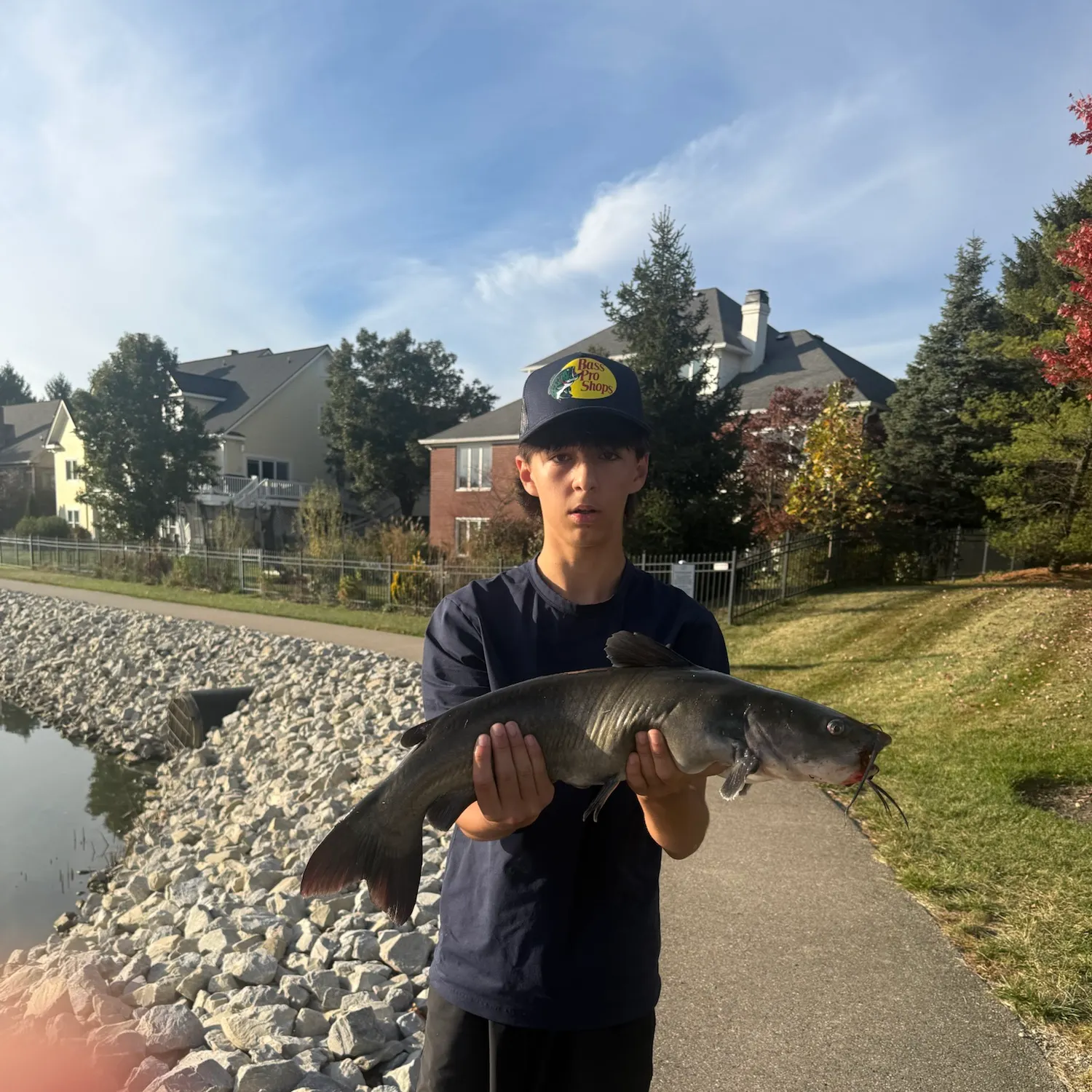 Channel catfish caught on Fishbrain
