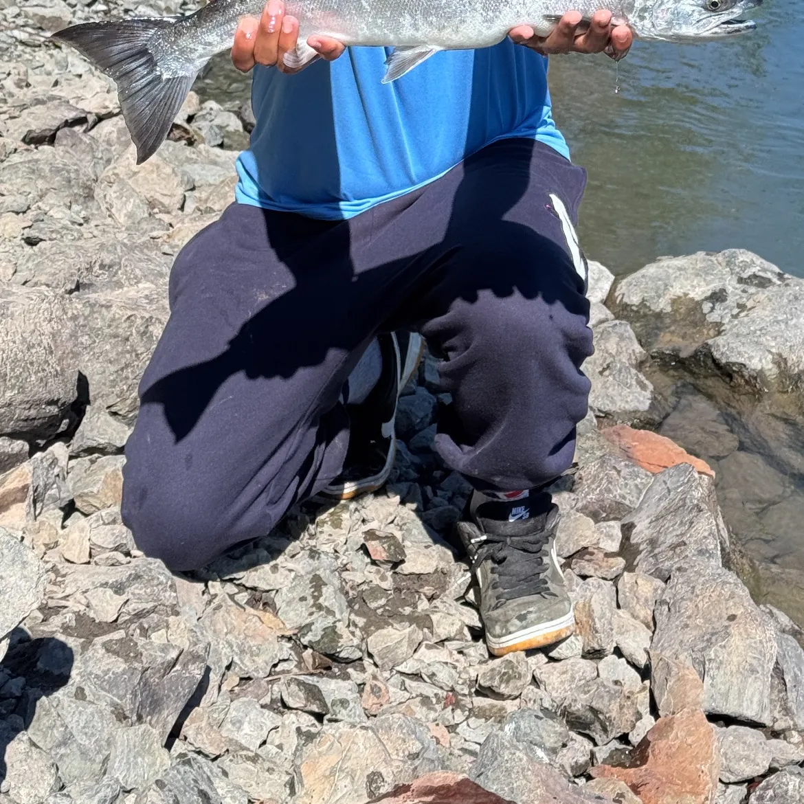 Coho salmon caught on Fishbrain