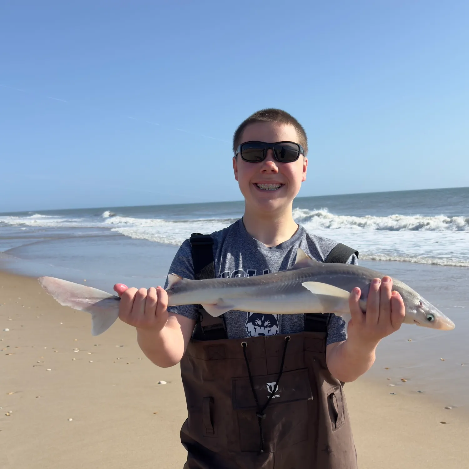 The most recent Piked dogfish catches on Fishbrain