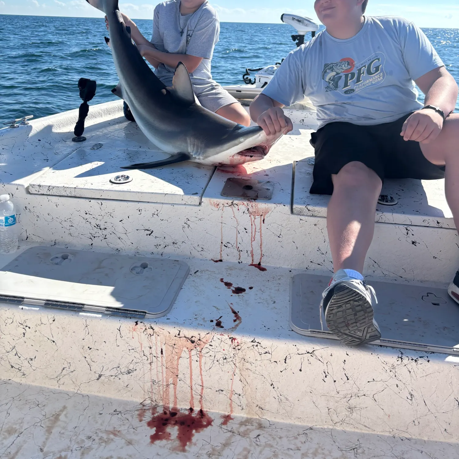 Blacktip shark caught on Fishbrain
