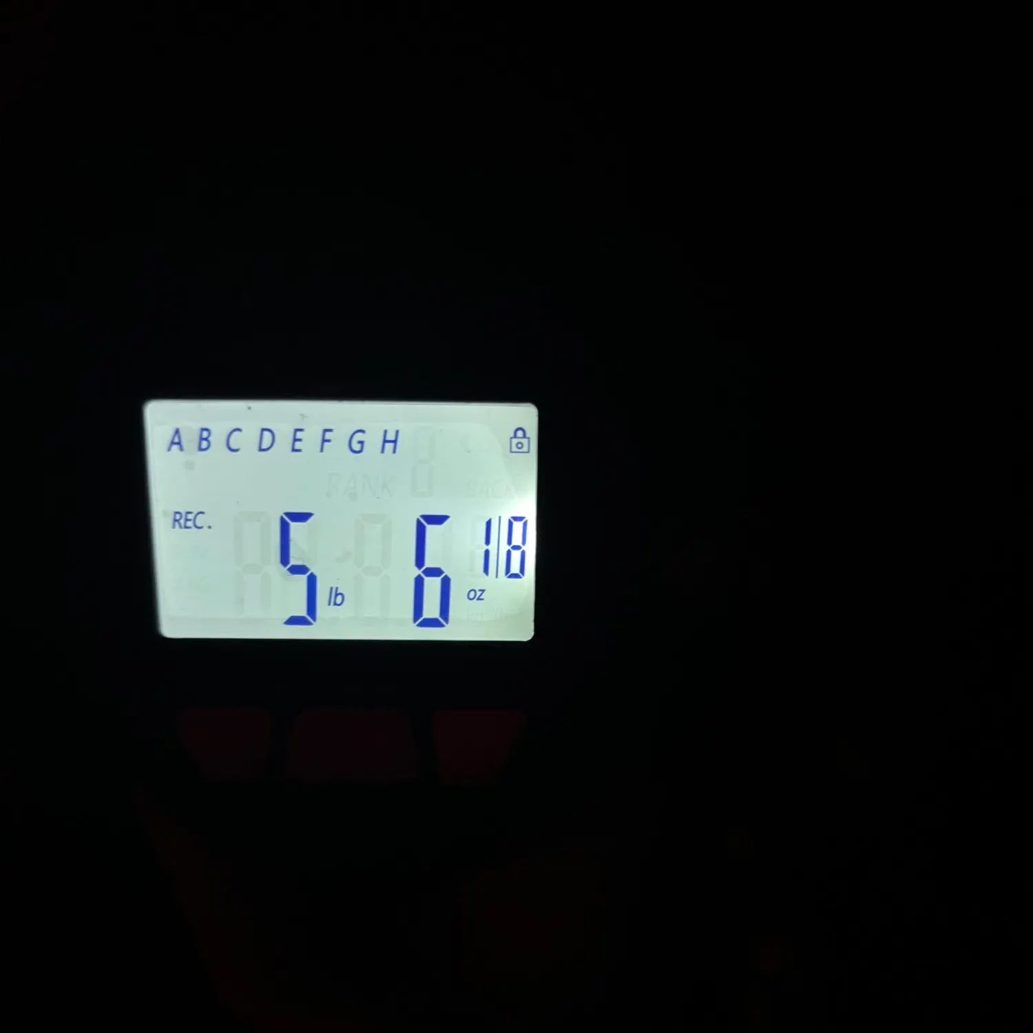 The most recent Northern pikeminnow catches on Fishbrain