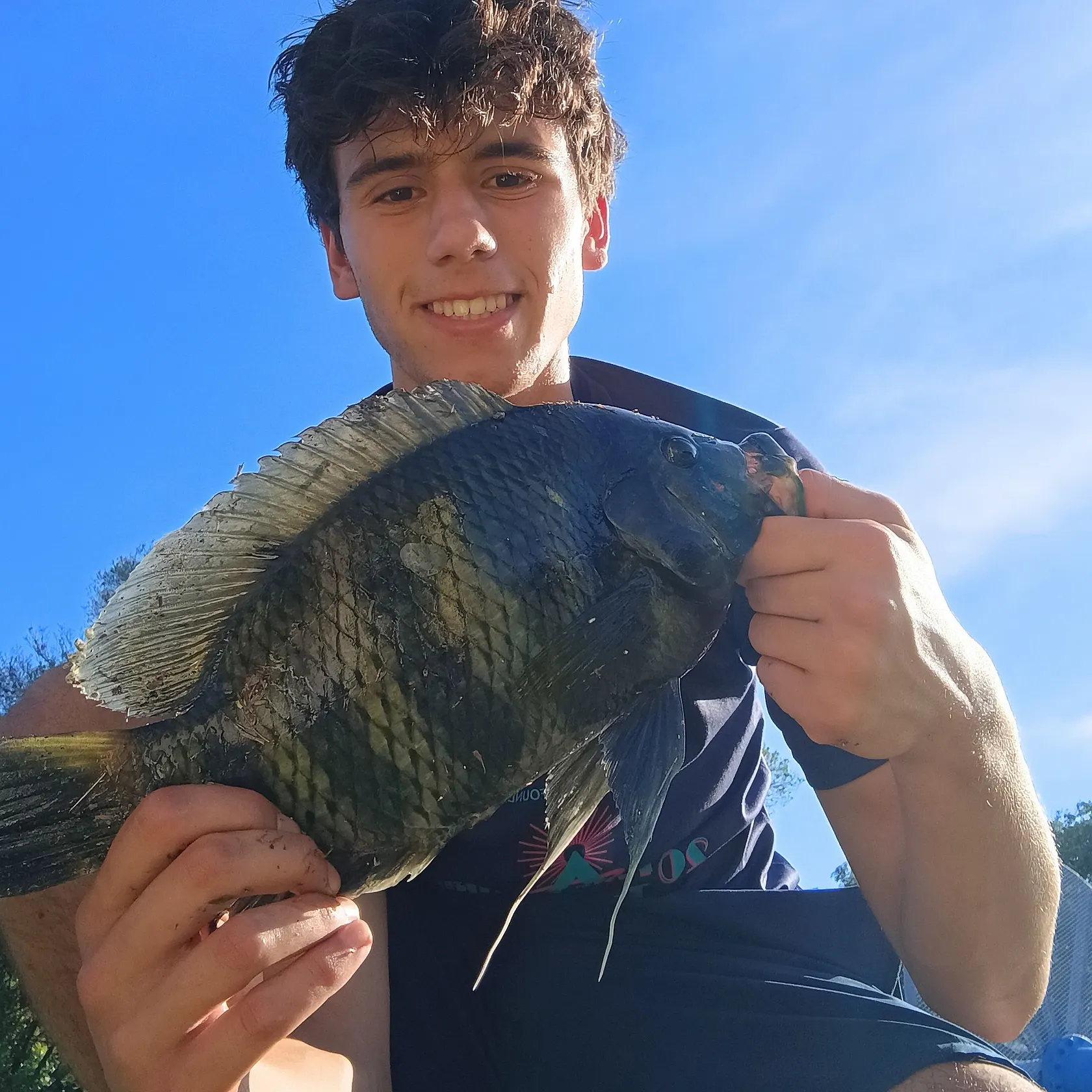 The most recent Zebra tilapia catches on Fishbrain