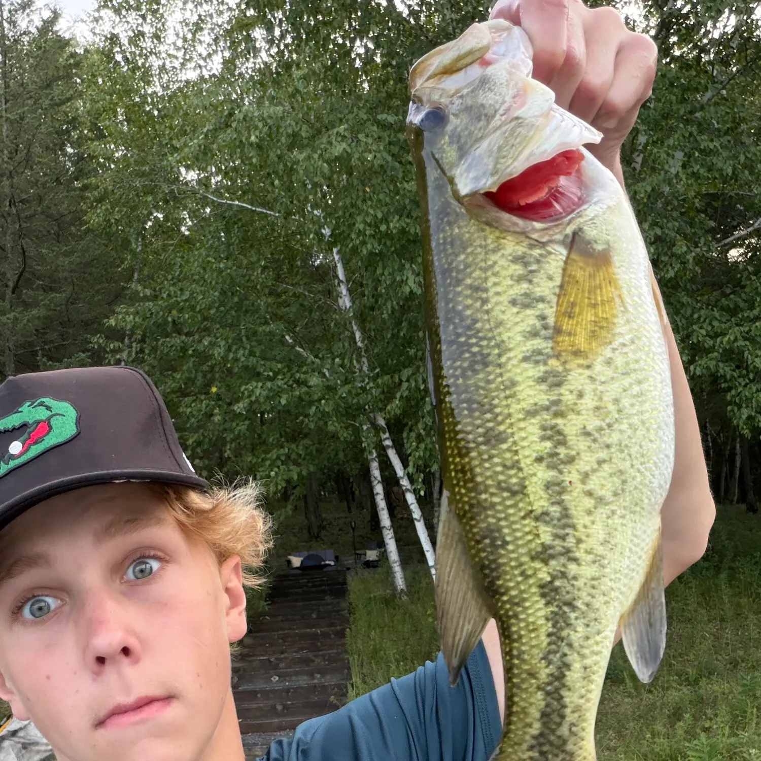 Largemouth bass caught on Fishbrain