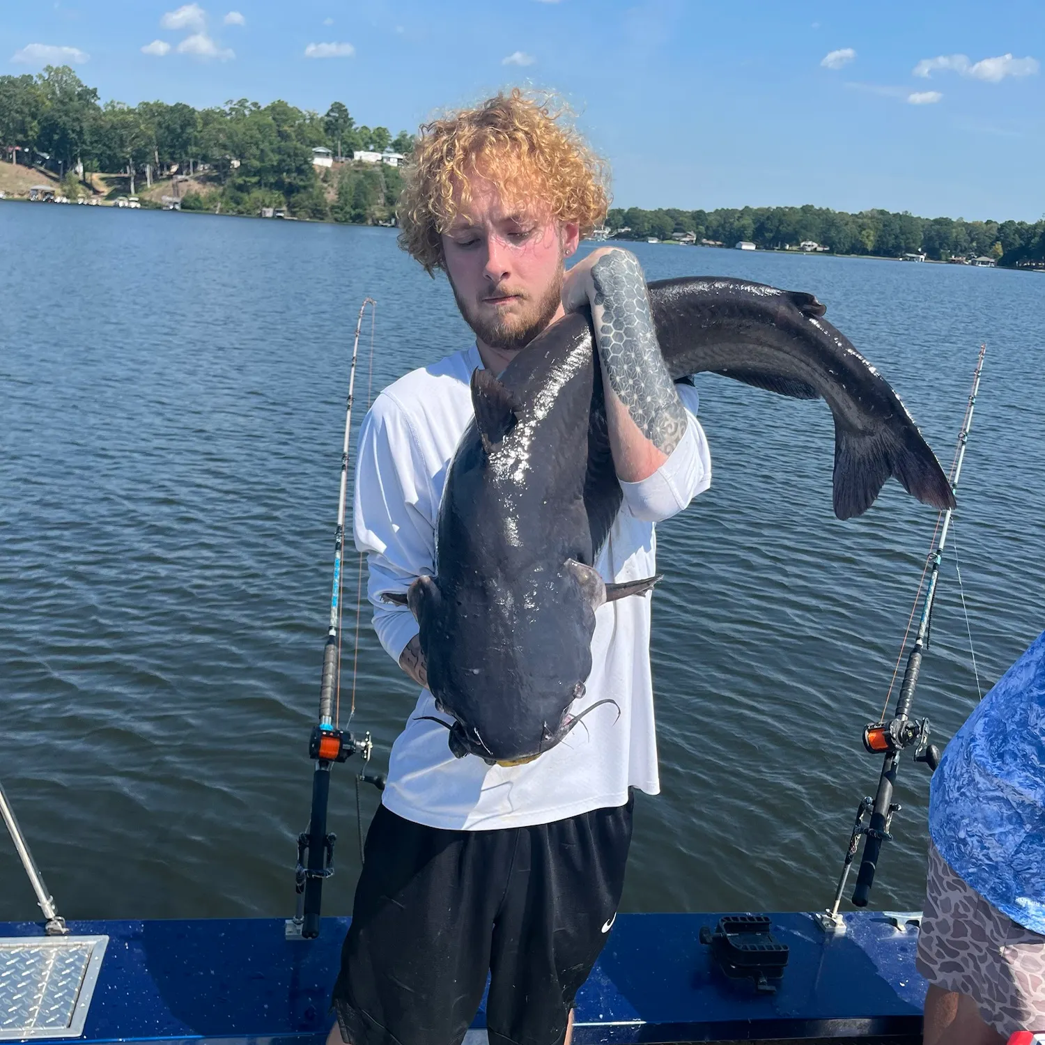Blue catfish caught on Fishbrain
