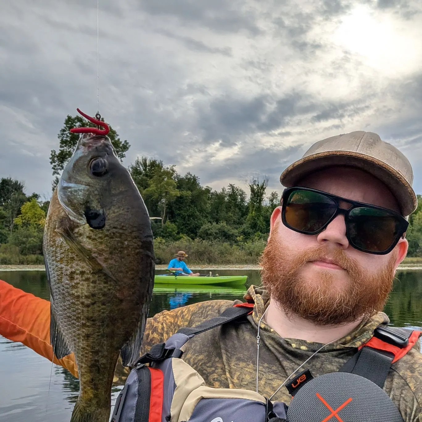 Bluegill caught on Fishbrain