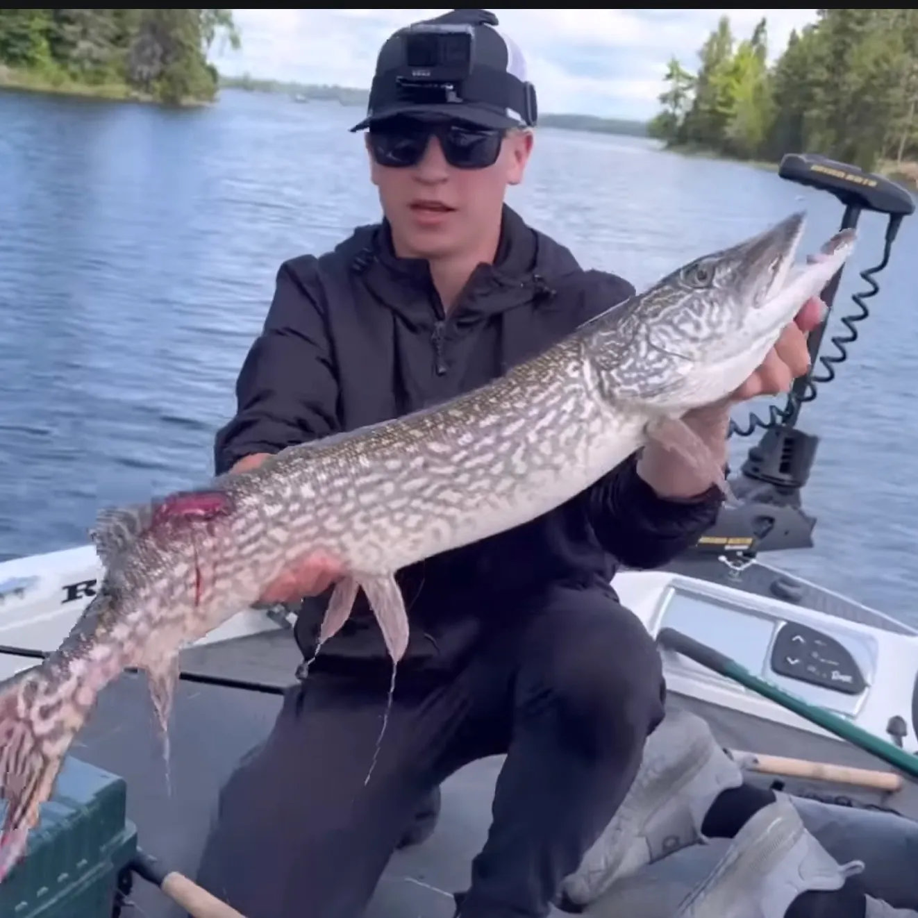 The most recent Northern pike catches on Fishbrain