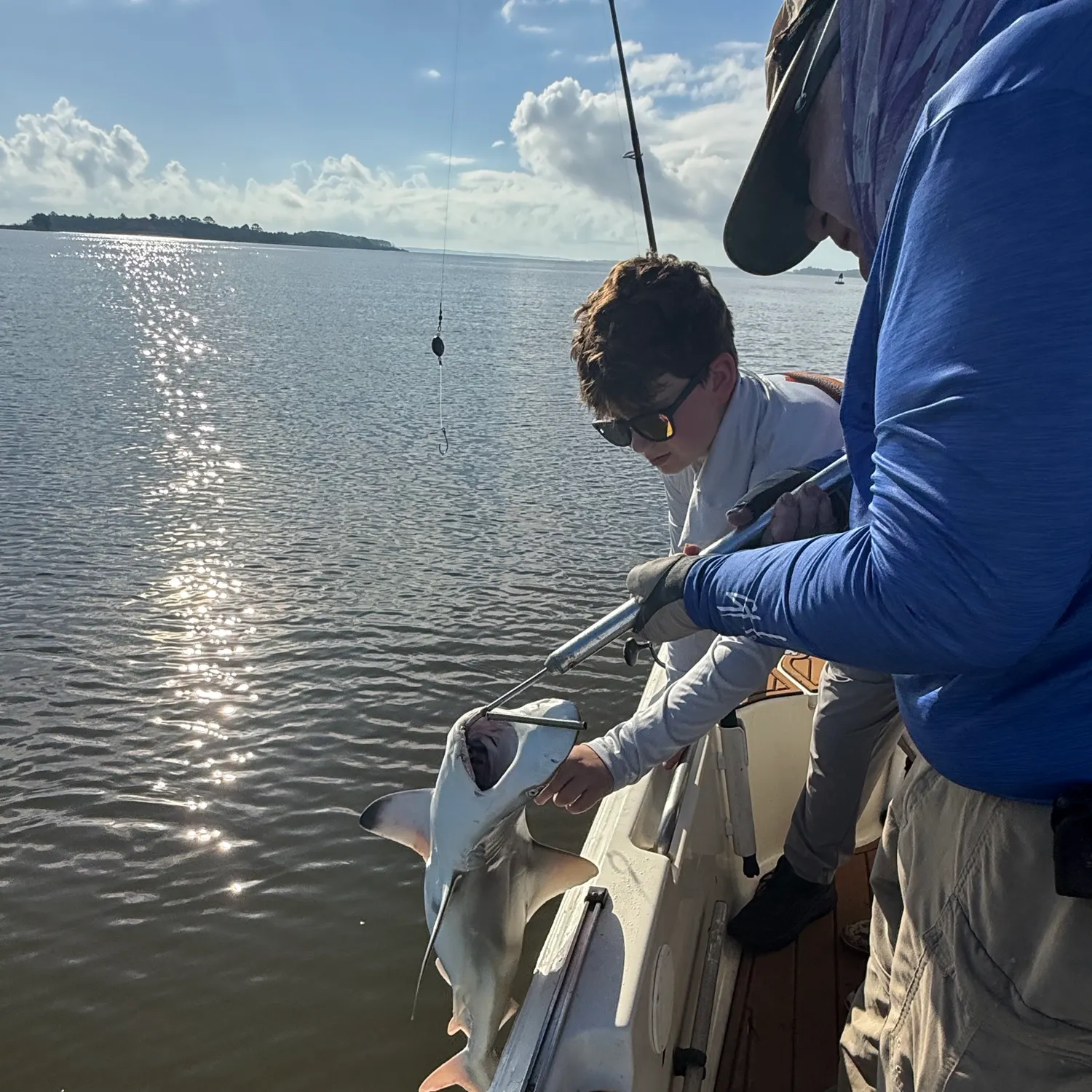 Bull shark caught on Fishbrain