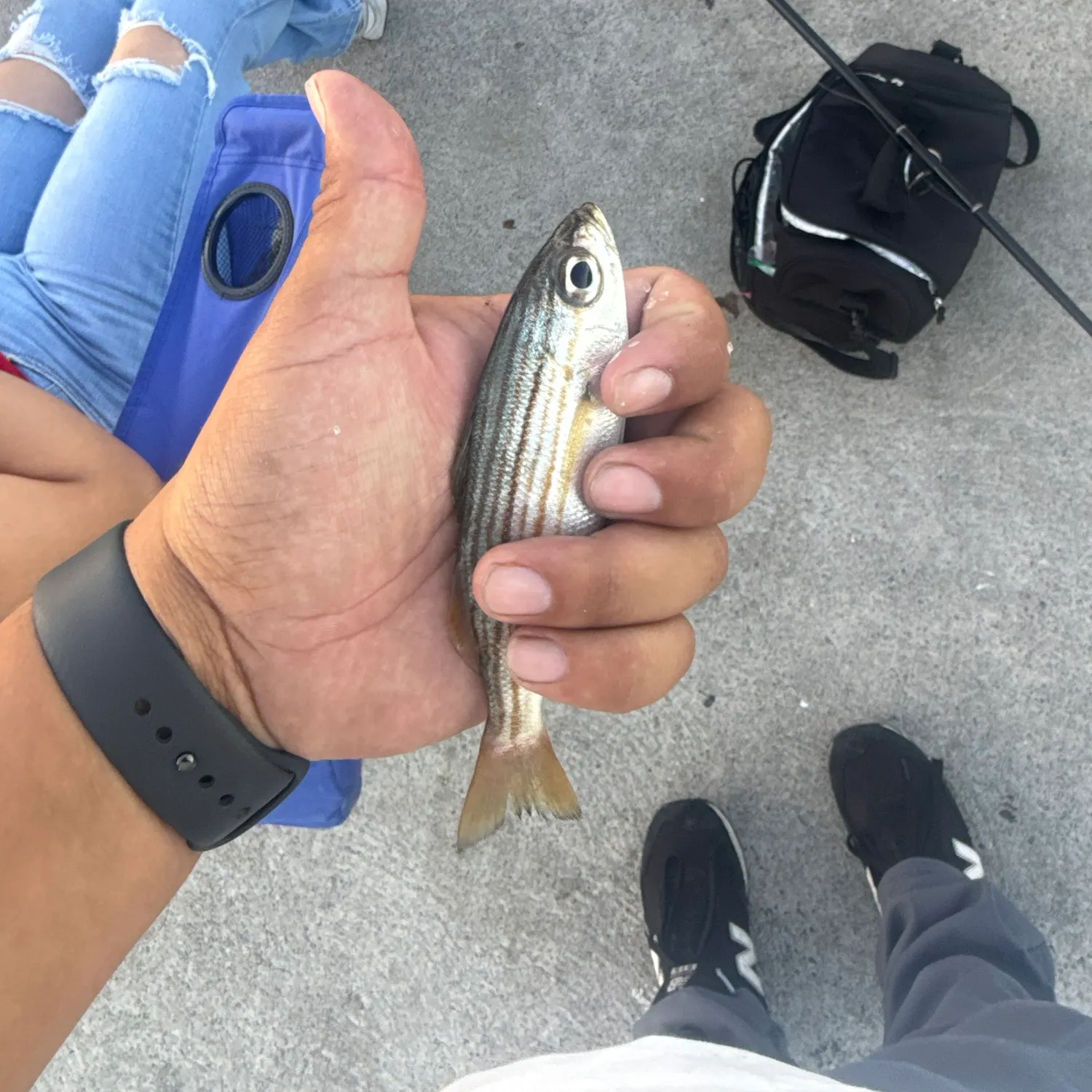 catch