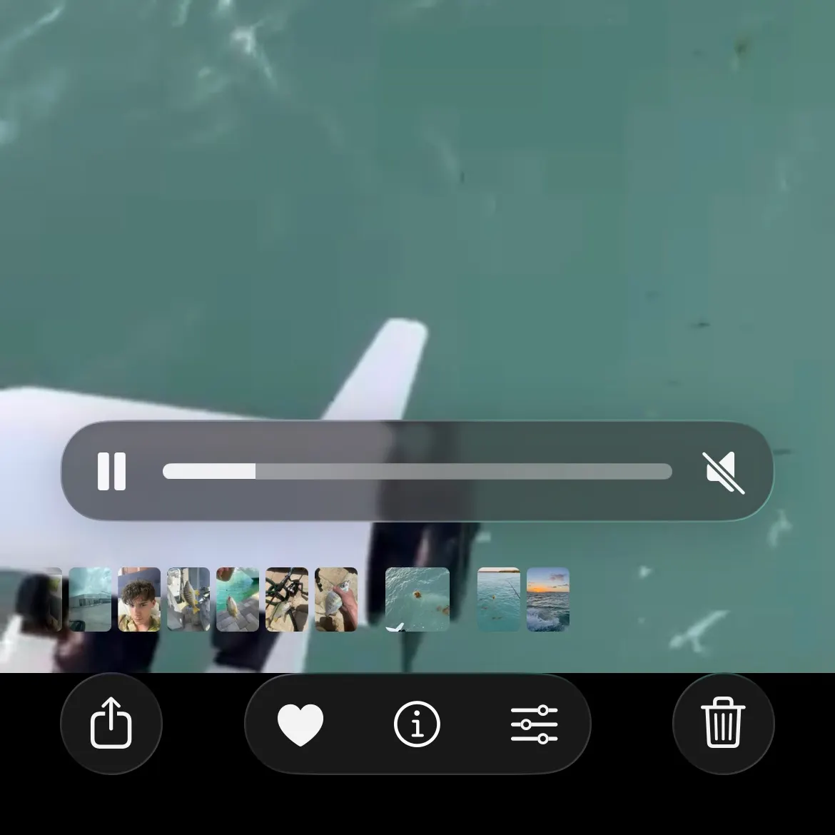 recently logged catches