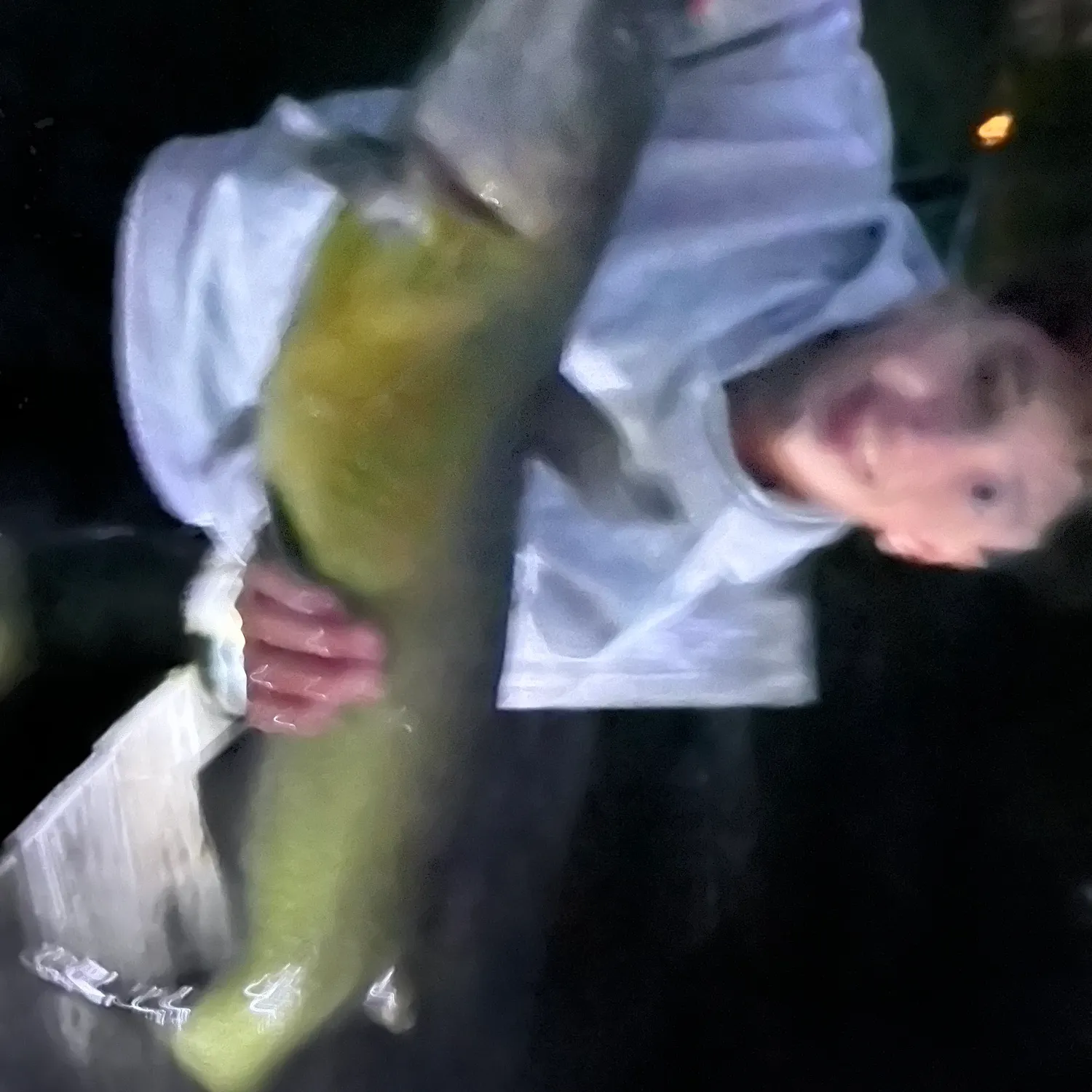 Channel catfish caught on Fishbrain