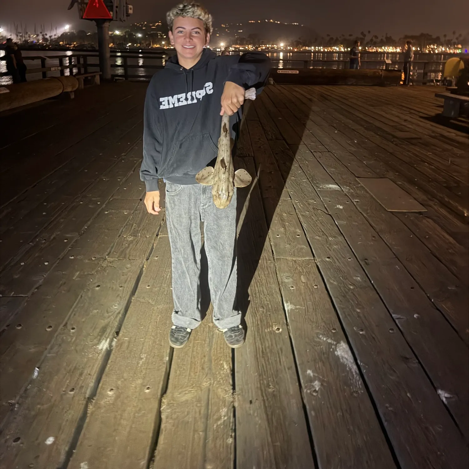The most recent Horn shark catches on Fishbrain