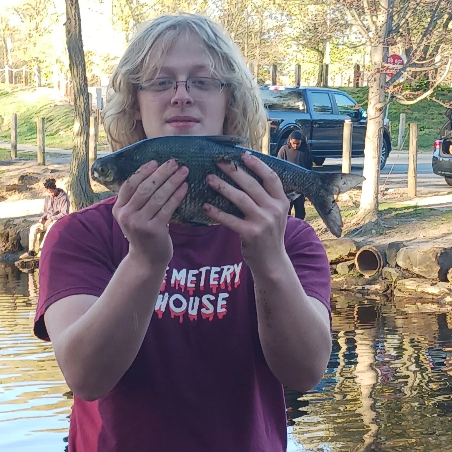 The most recent American gizzard shad catches on Fishbrain