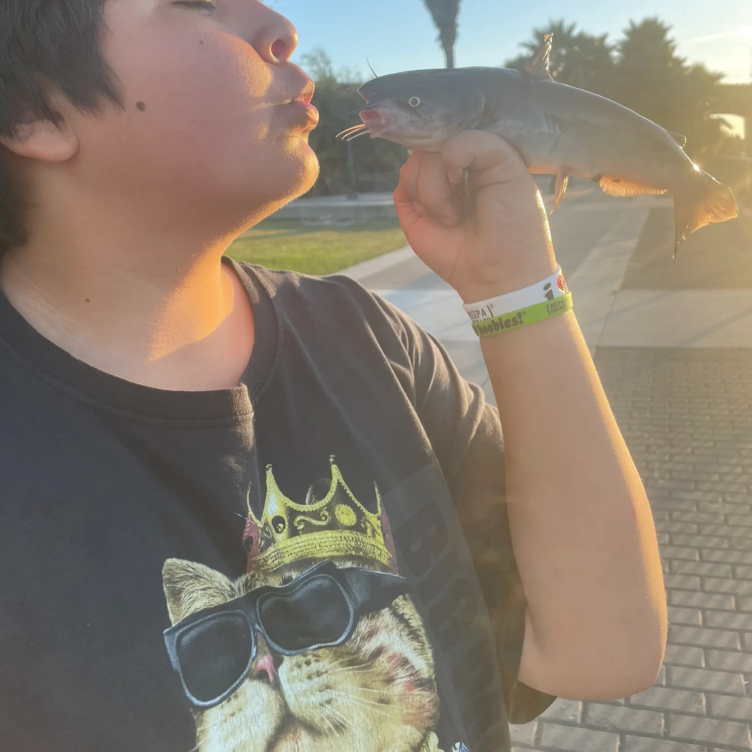 catch