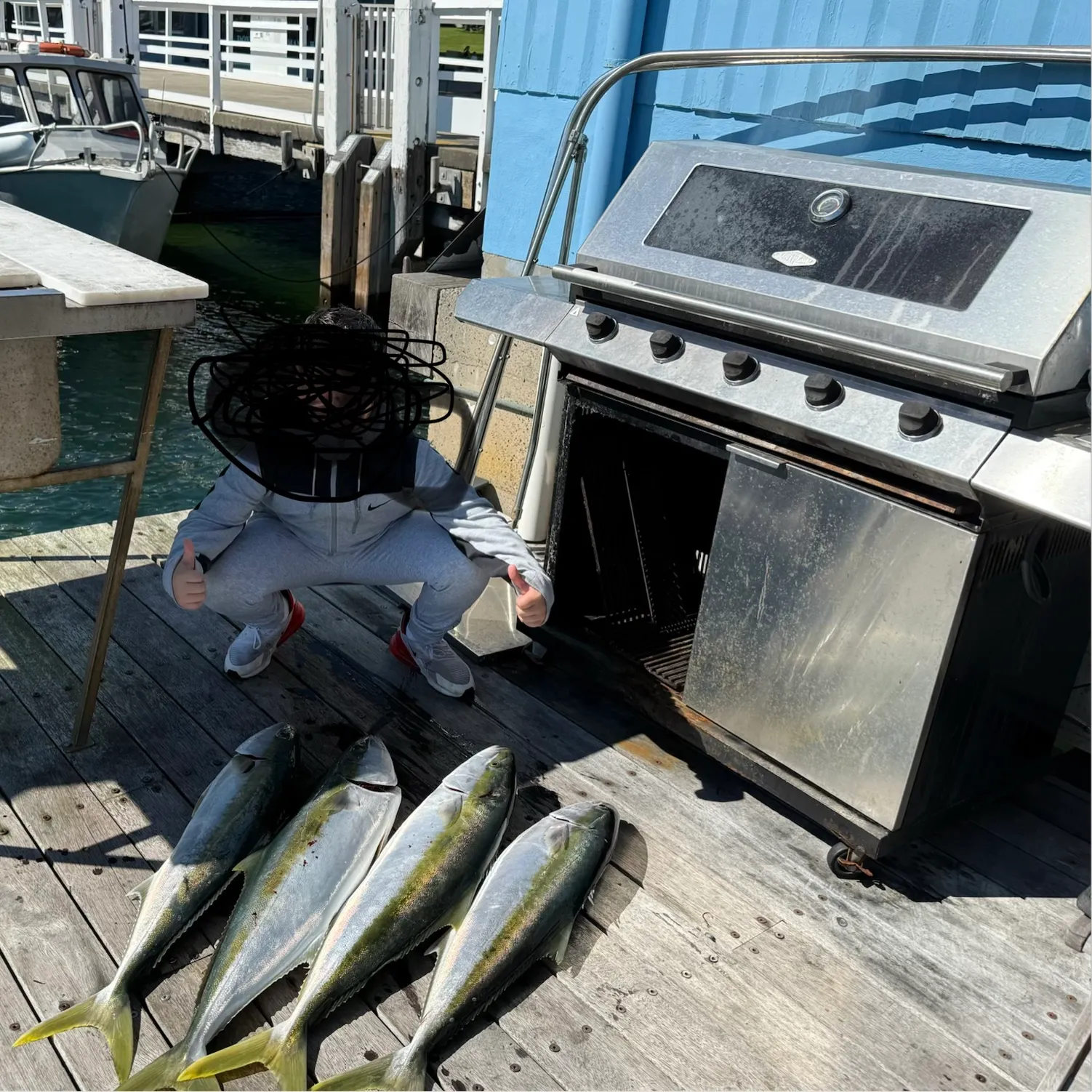 The most recent Southern yellowtail amberjack catches on Fishbrain