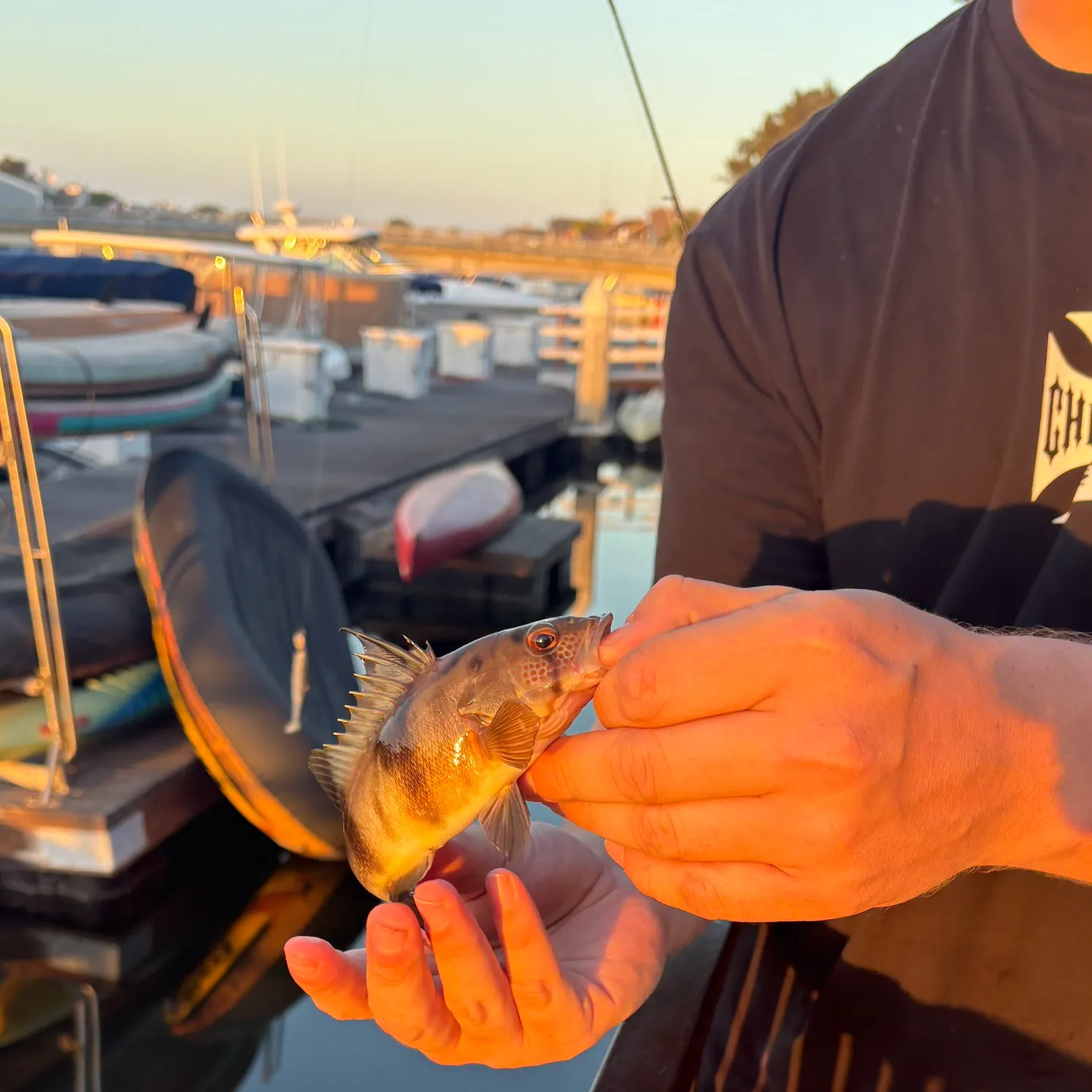 catch
