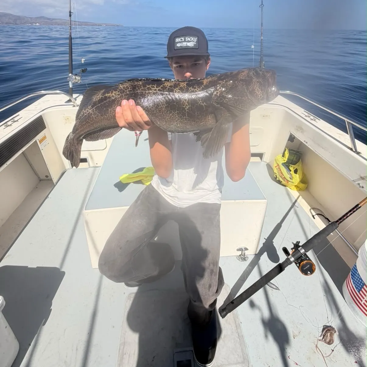 Lingcod caught on Fishbrain