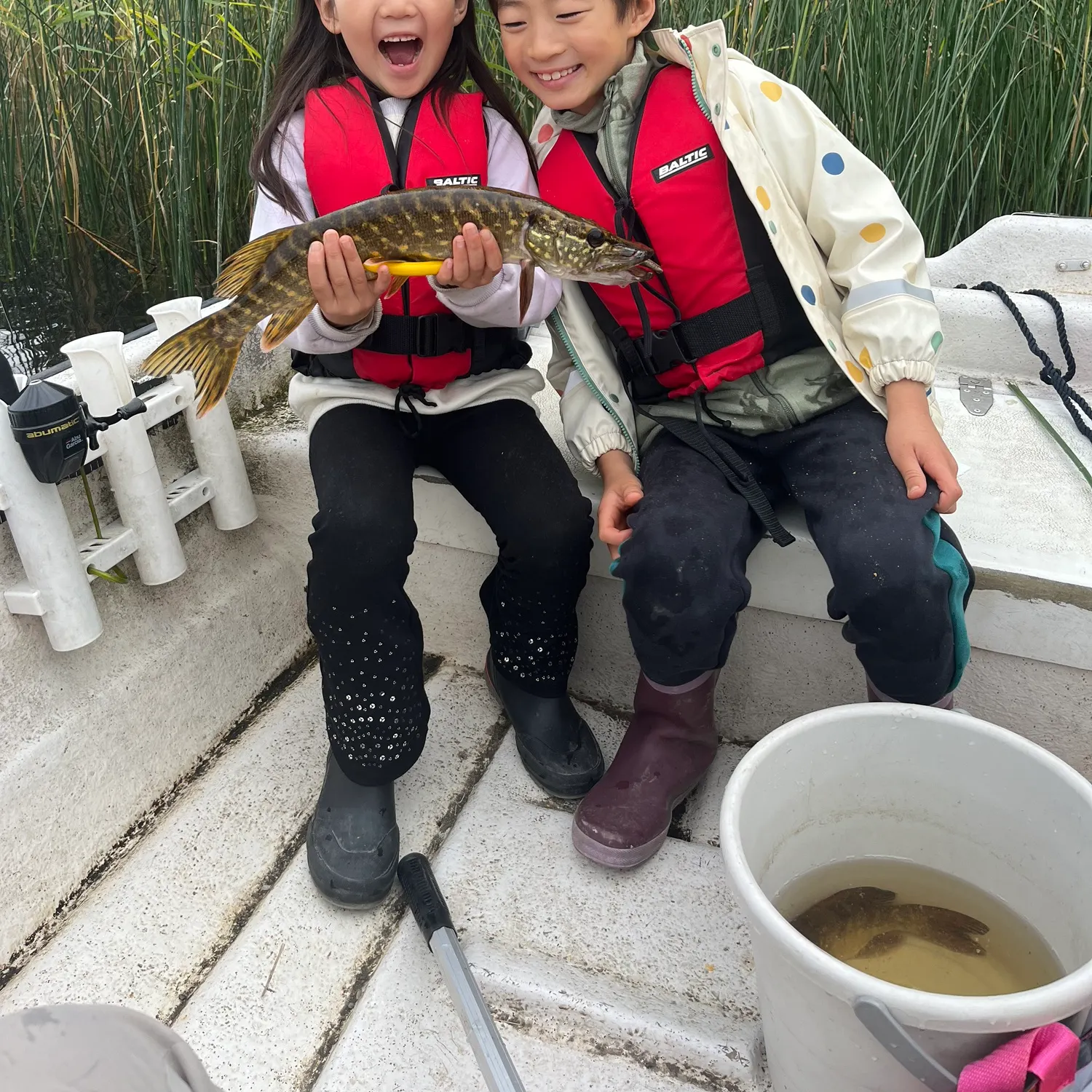 Fish caught on Fishbrain