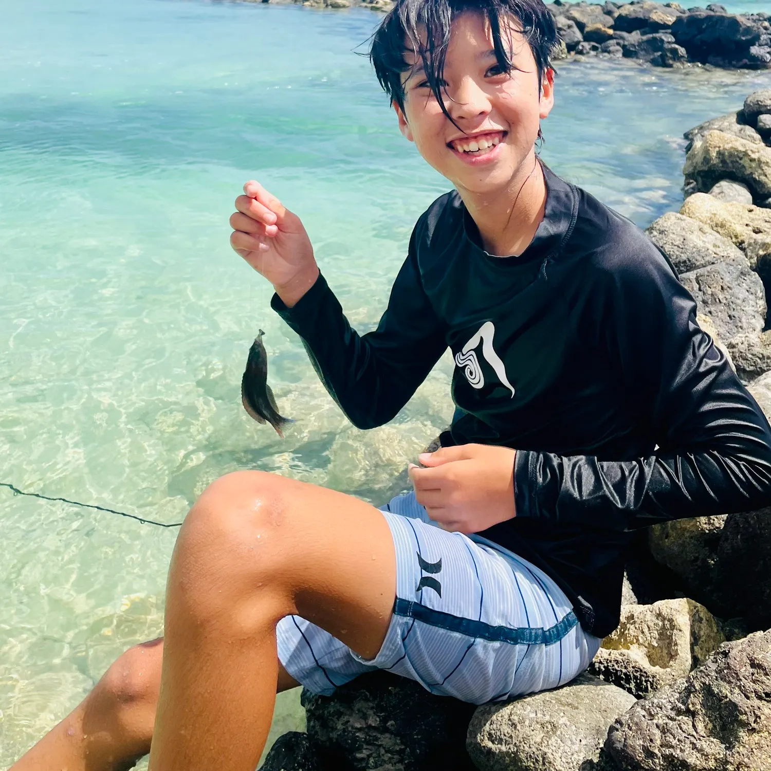 The most recent Saddle wrasse catches on Fishbrain