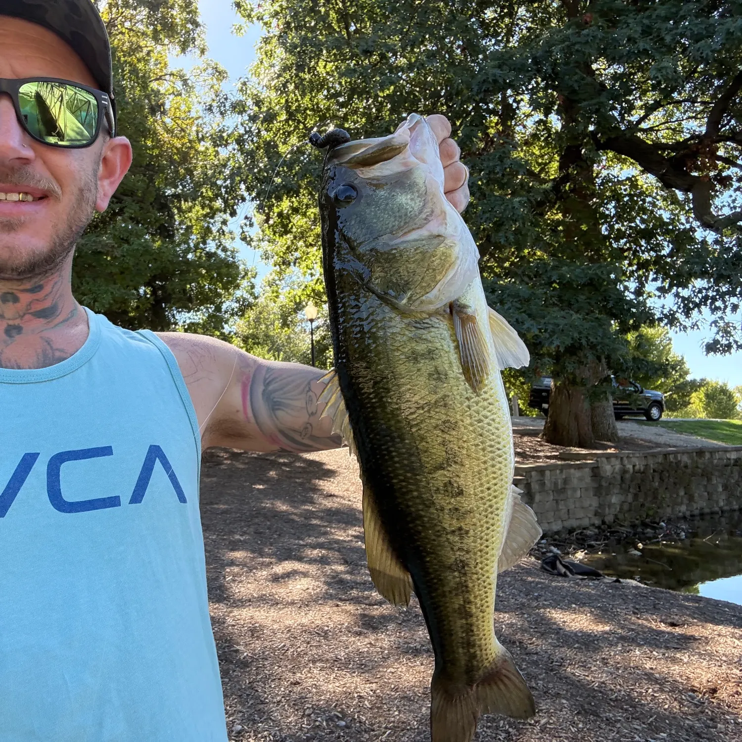 Largemouth bass caught on Fishbrain