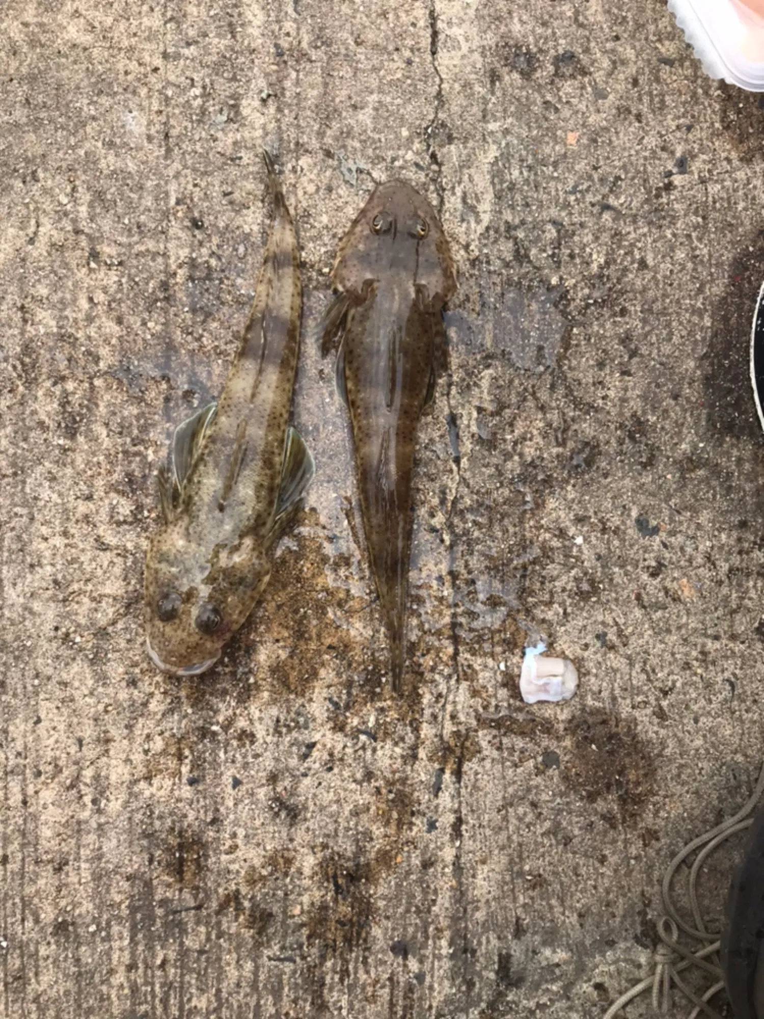 Post image from ayildirim1984