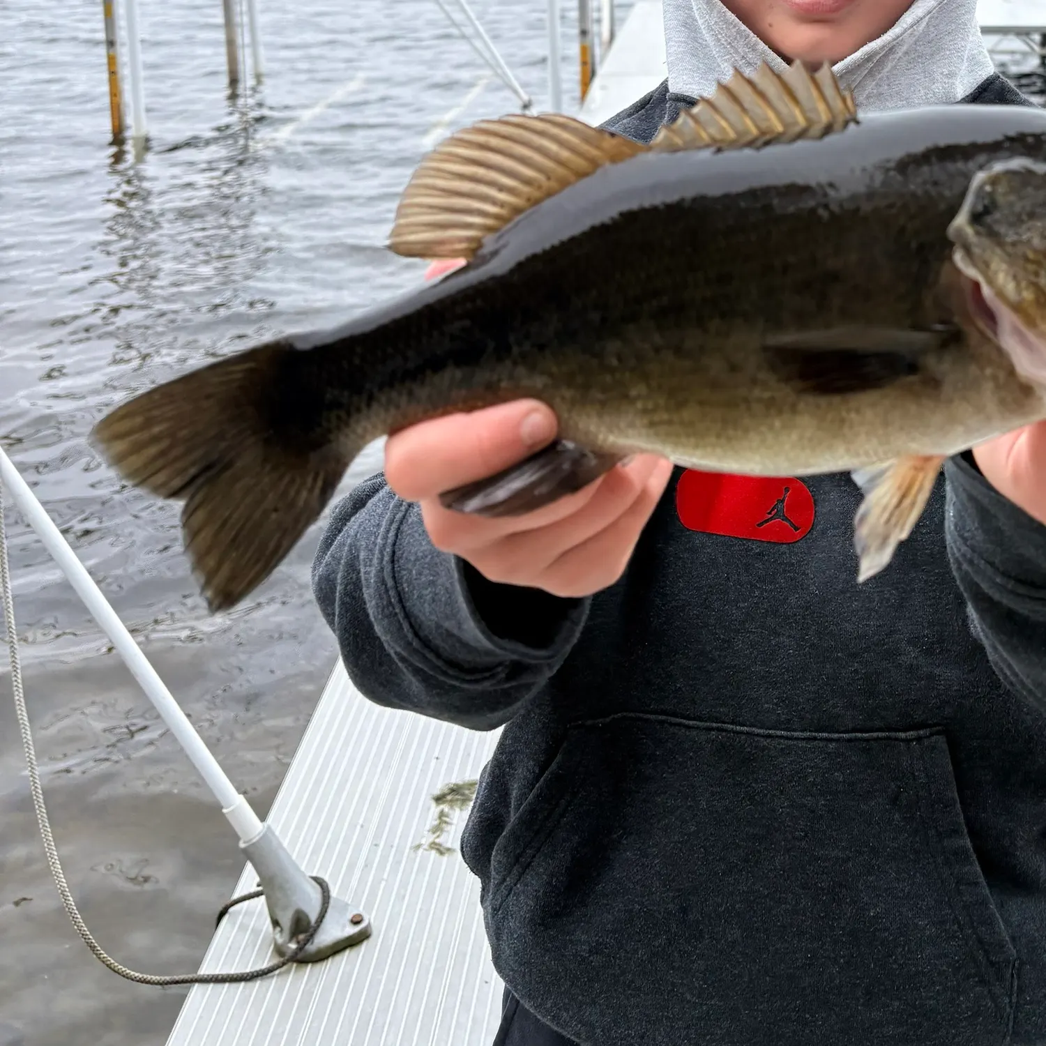 Largemouth bass caught on Fishbrain
