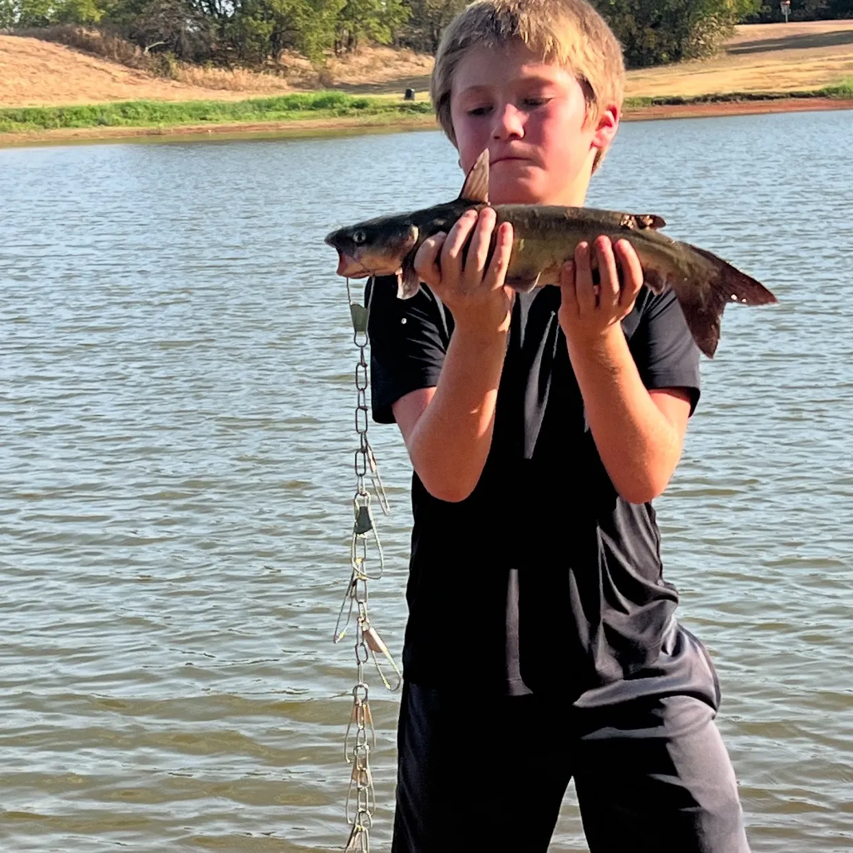 Channel catfish caught on Fishbrain