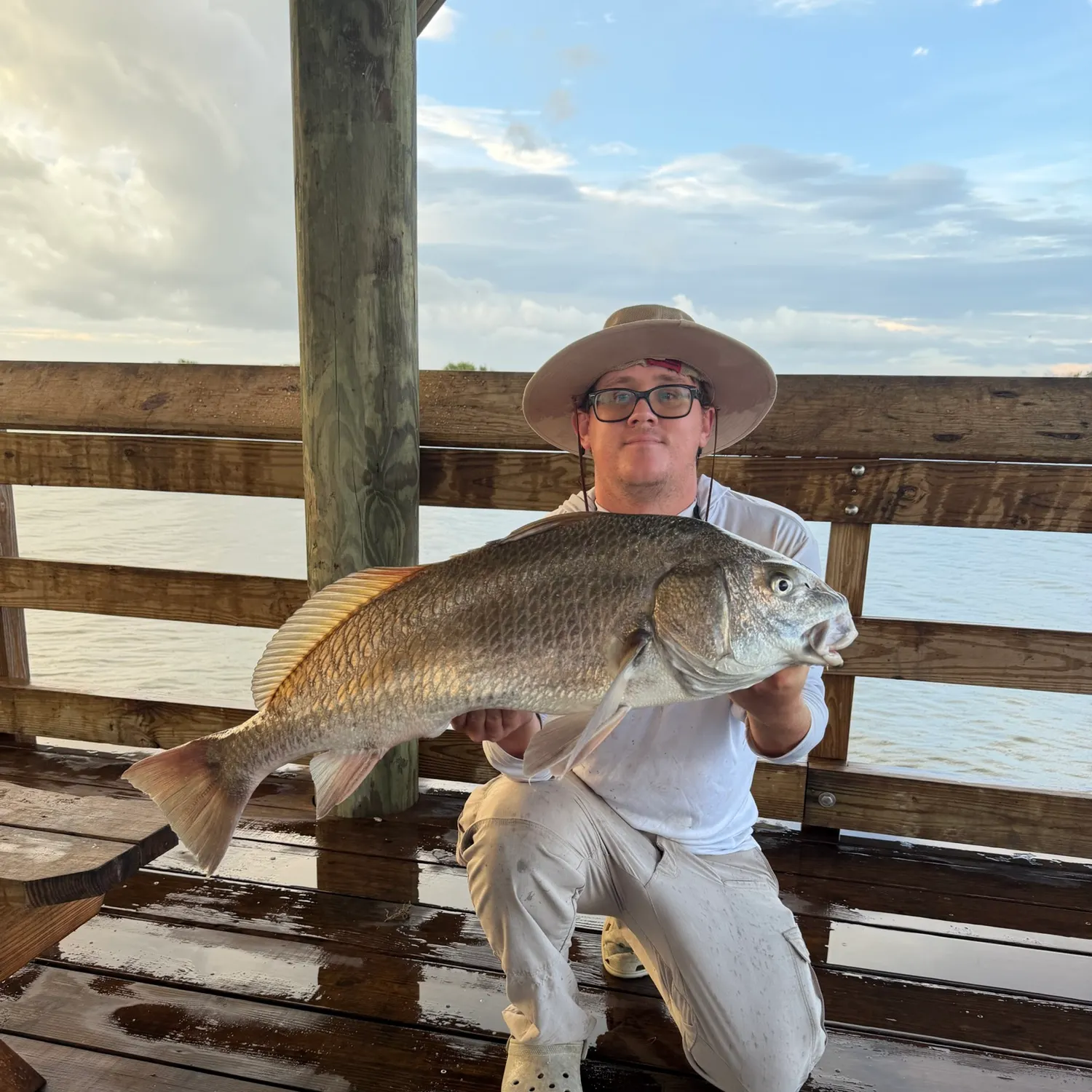 Black drum caught on Fishbrain