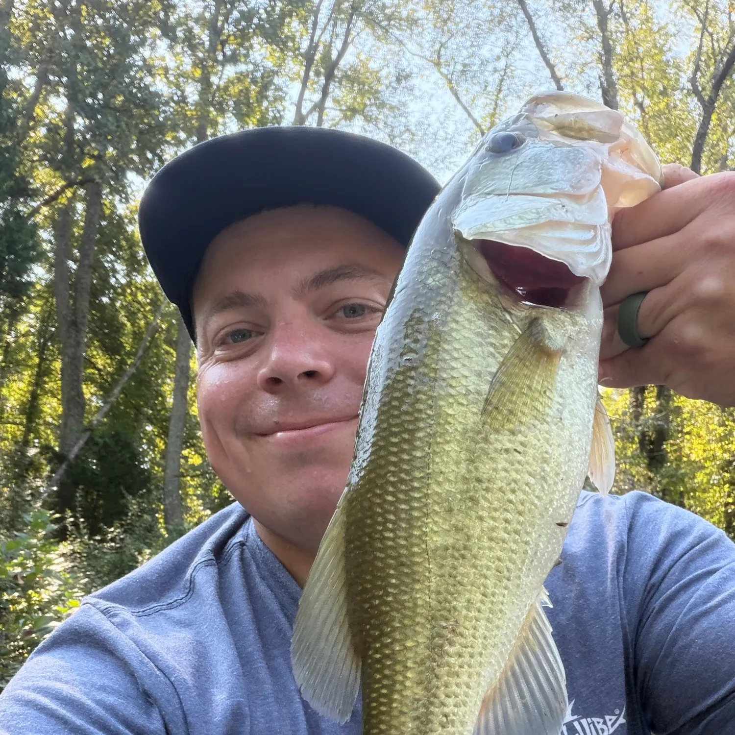 Largemouth bass caught on Fishbrain