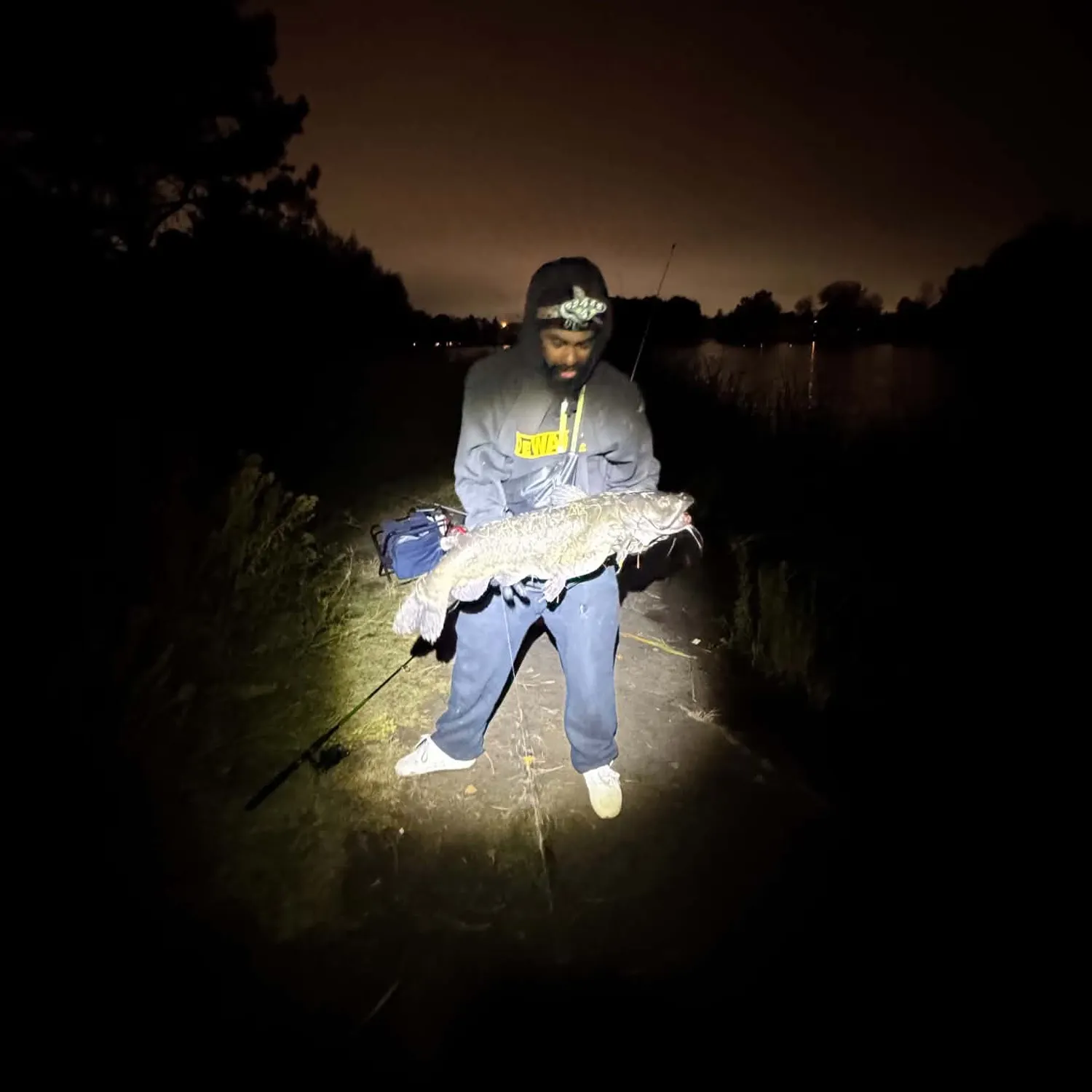 Channel catfish caught on Fishbrain