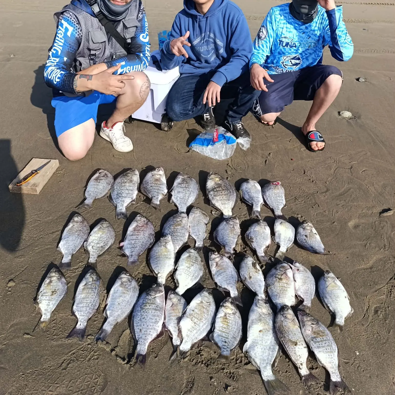 recently logged catches