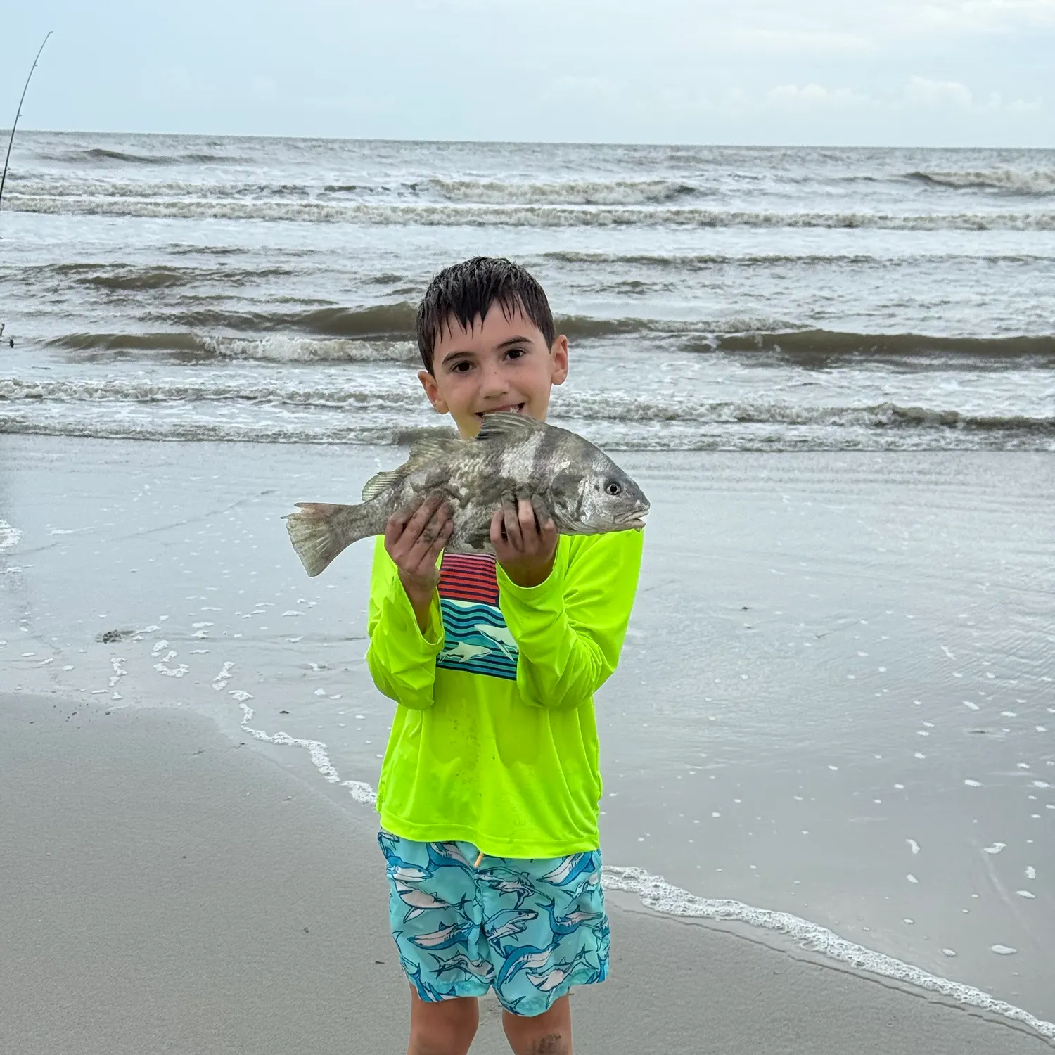 Black drum caught on Fishbrain
