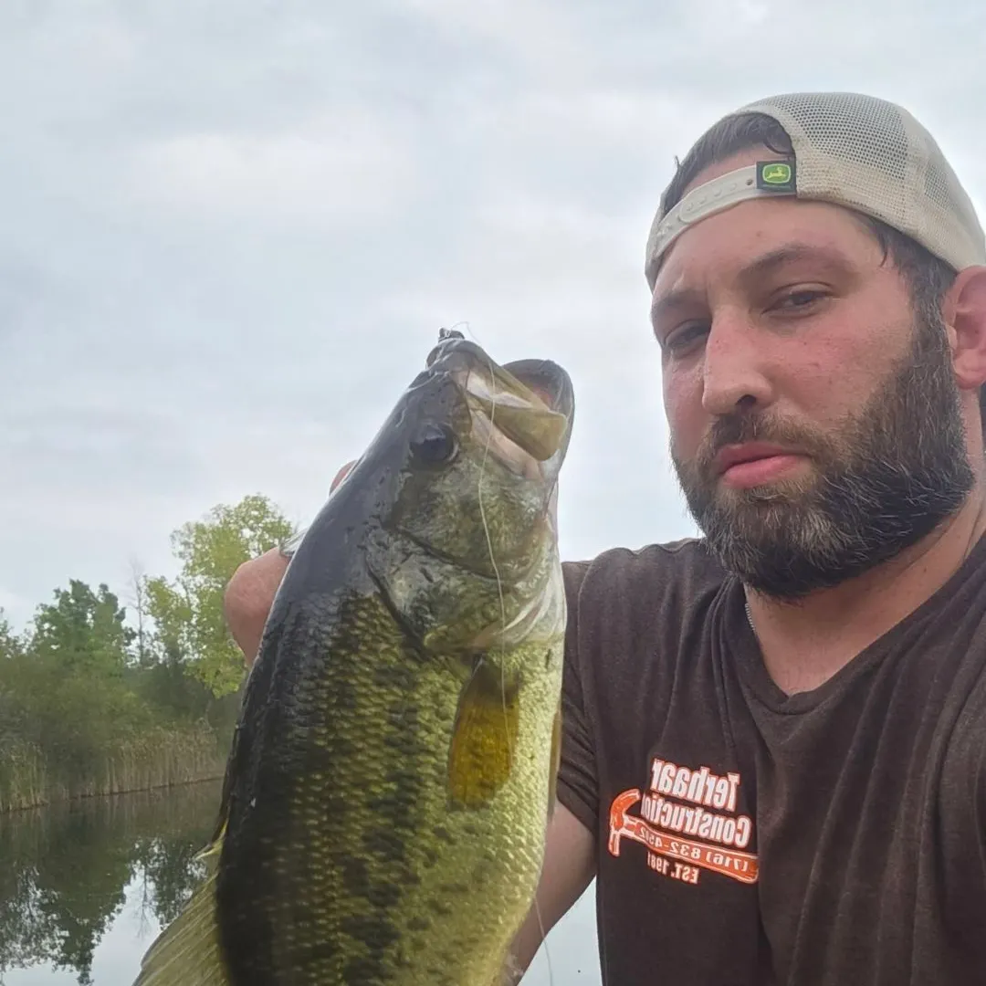 Smallmouth bass caught on Fishbrain