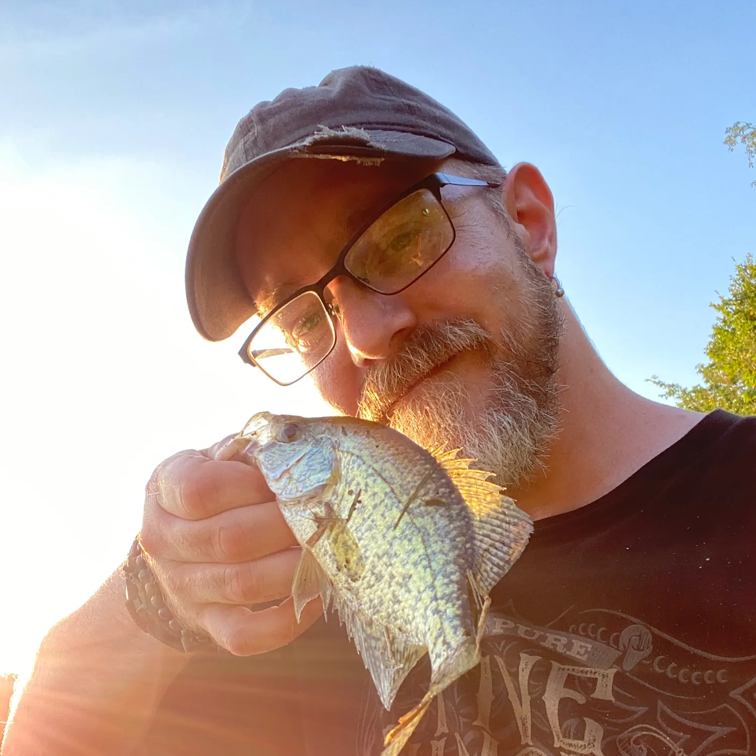Black crappie caught on Fishbrain