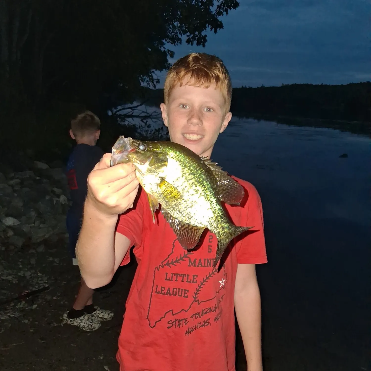 Black crappie caught on Fishbrain