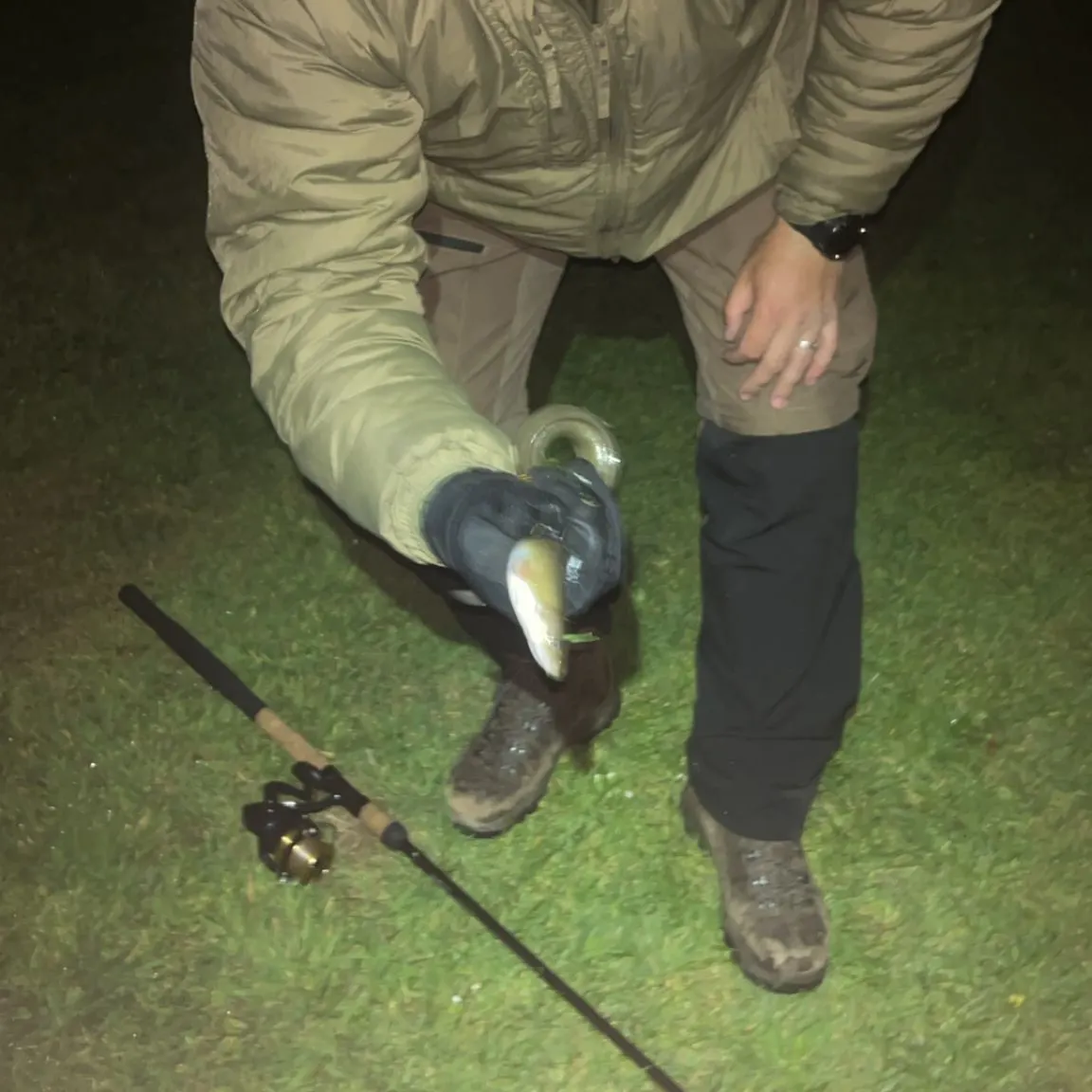 The most recent European eel catches on Fishbrain