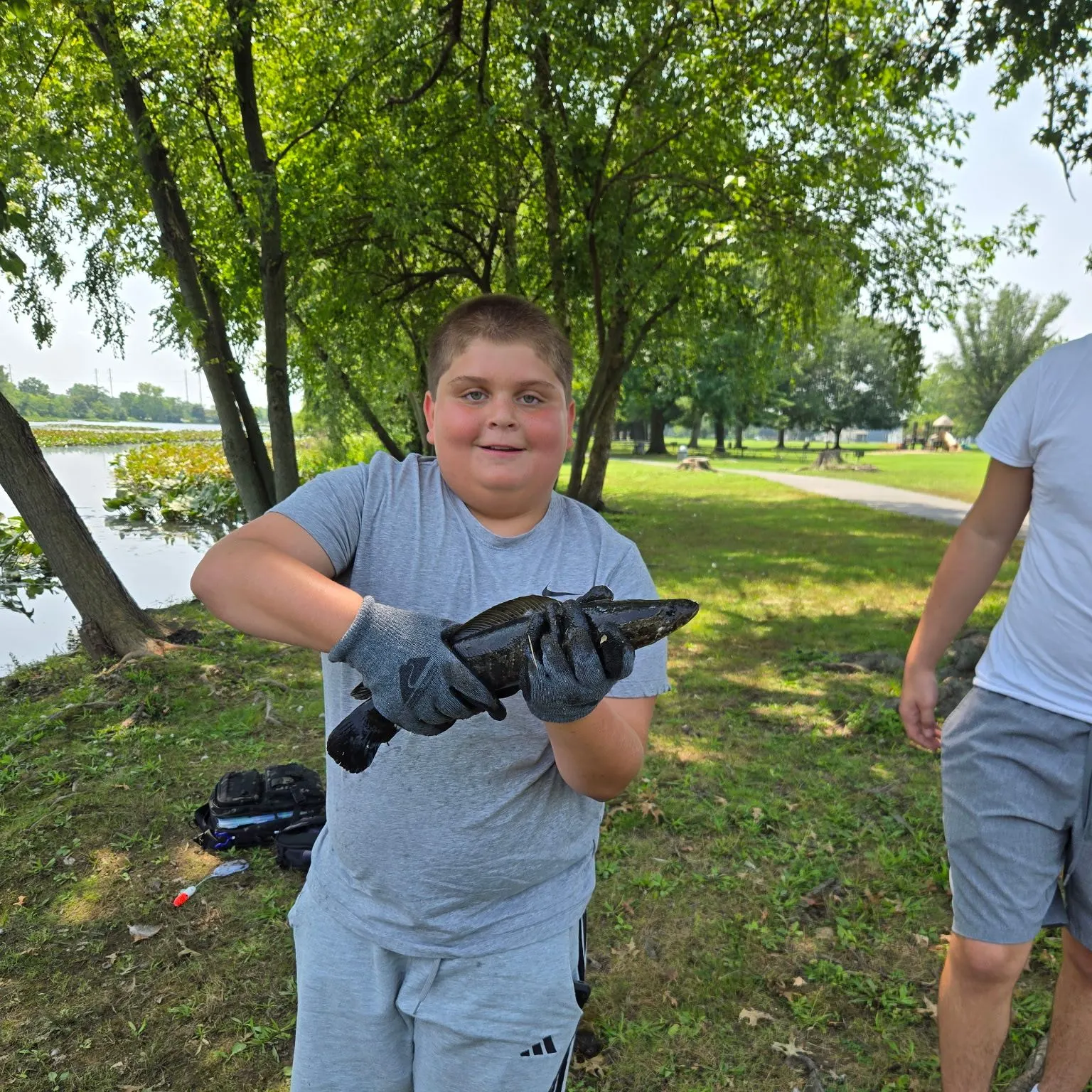 The most recent Northern snakehead catches on Fishbrain