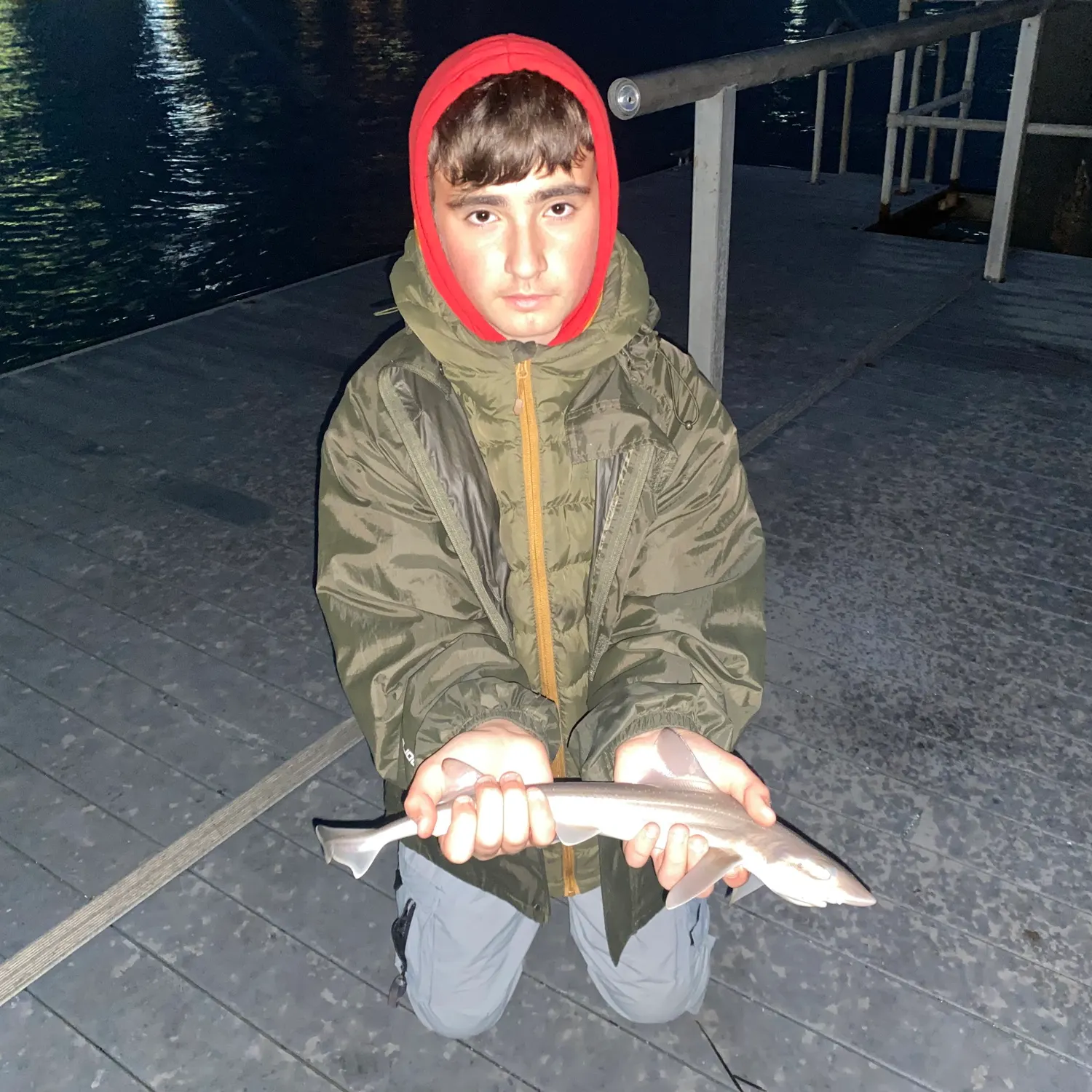 The most recent Starry smooth-hound catches on Fishbrain