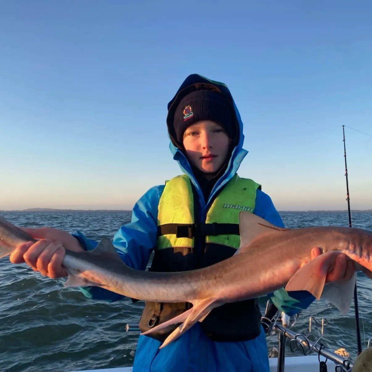 The most recent Gummy shark catches on Fishbrain