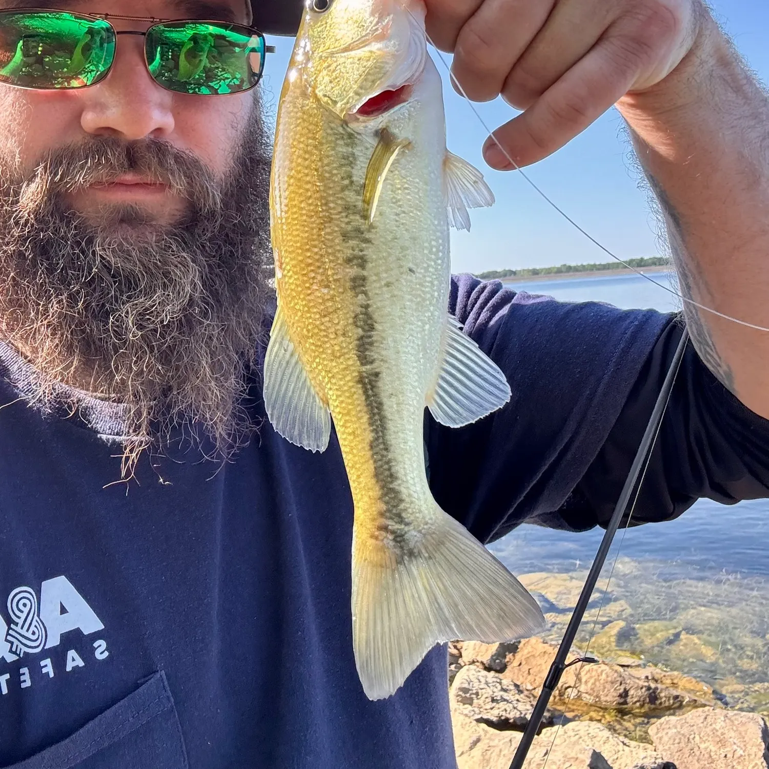 Largemouth bass caught on Fishbrain