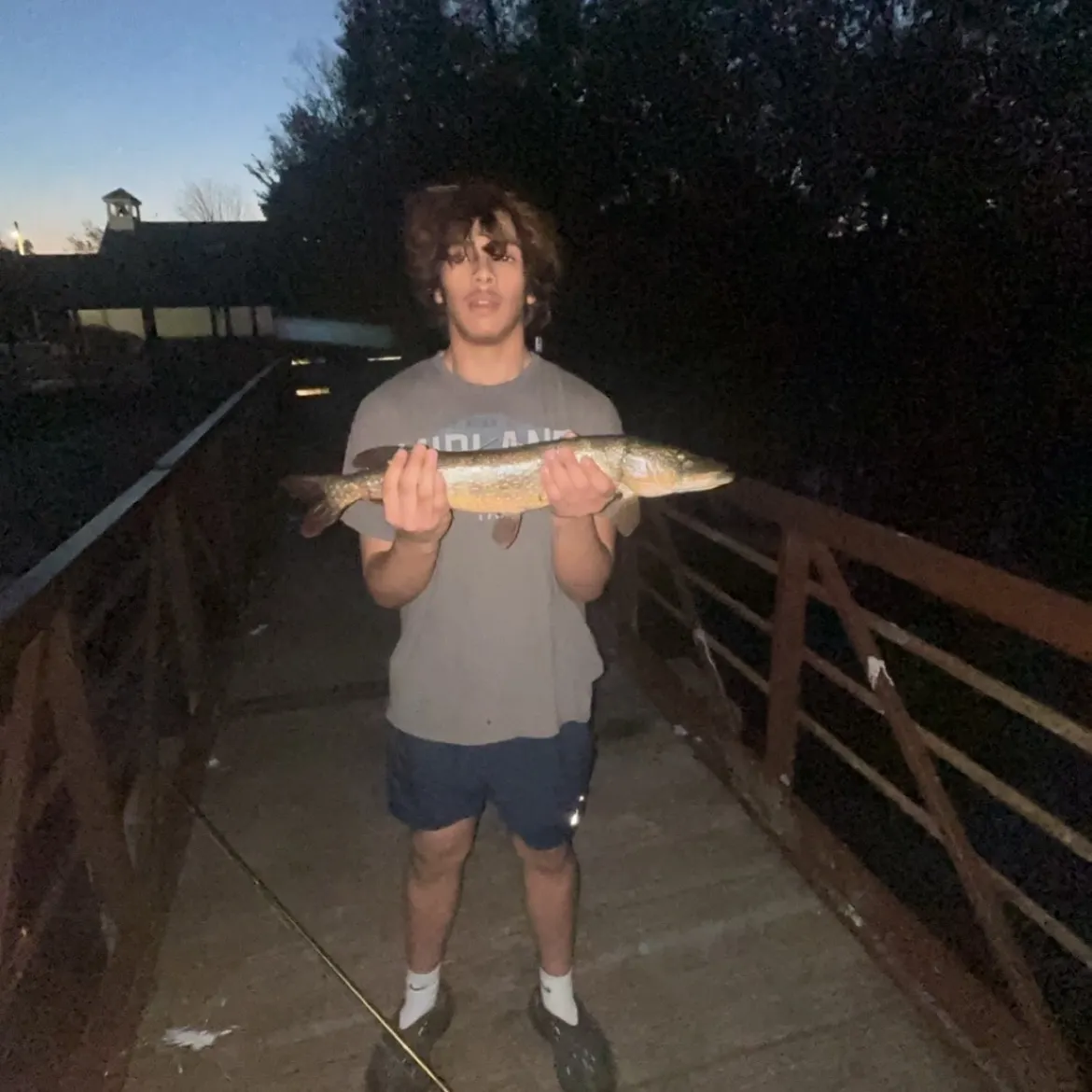 Northern pike caught on Fishbrain