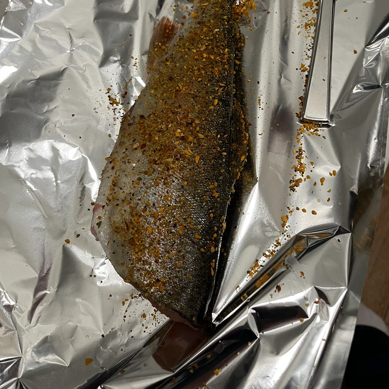 Rainbow trout caught on Fishbrain