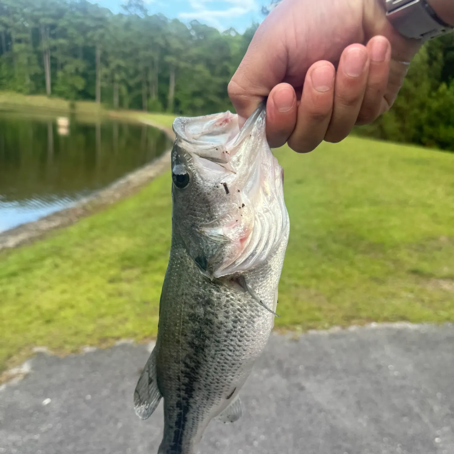 catch