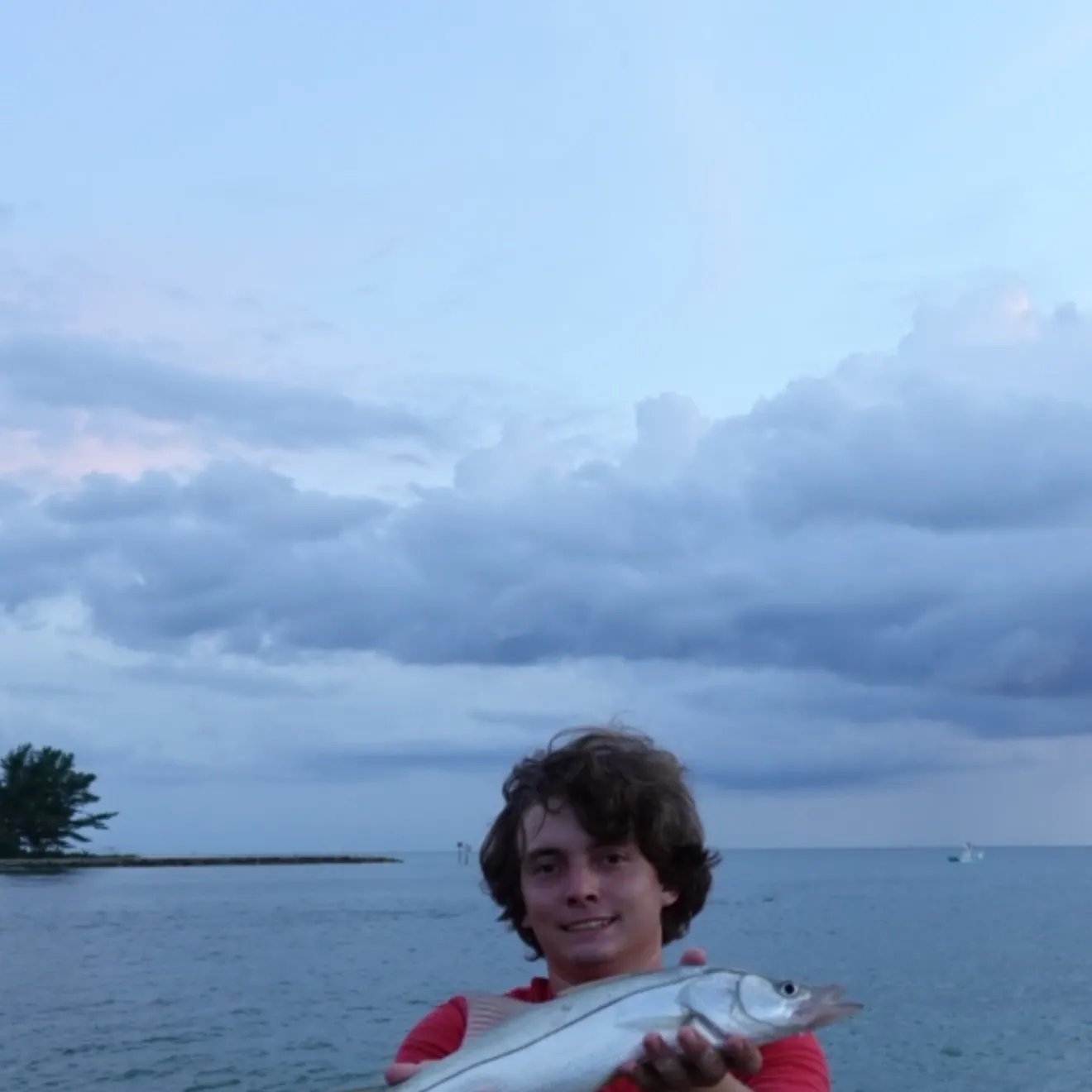 Common snook caught on Fishbrain